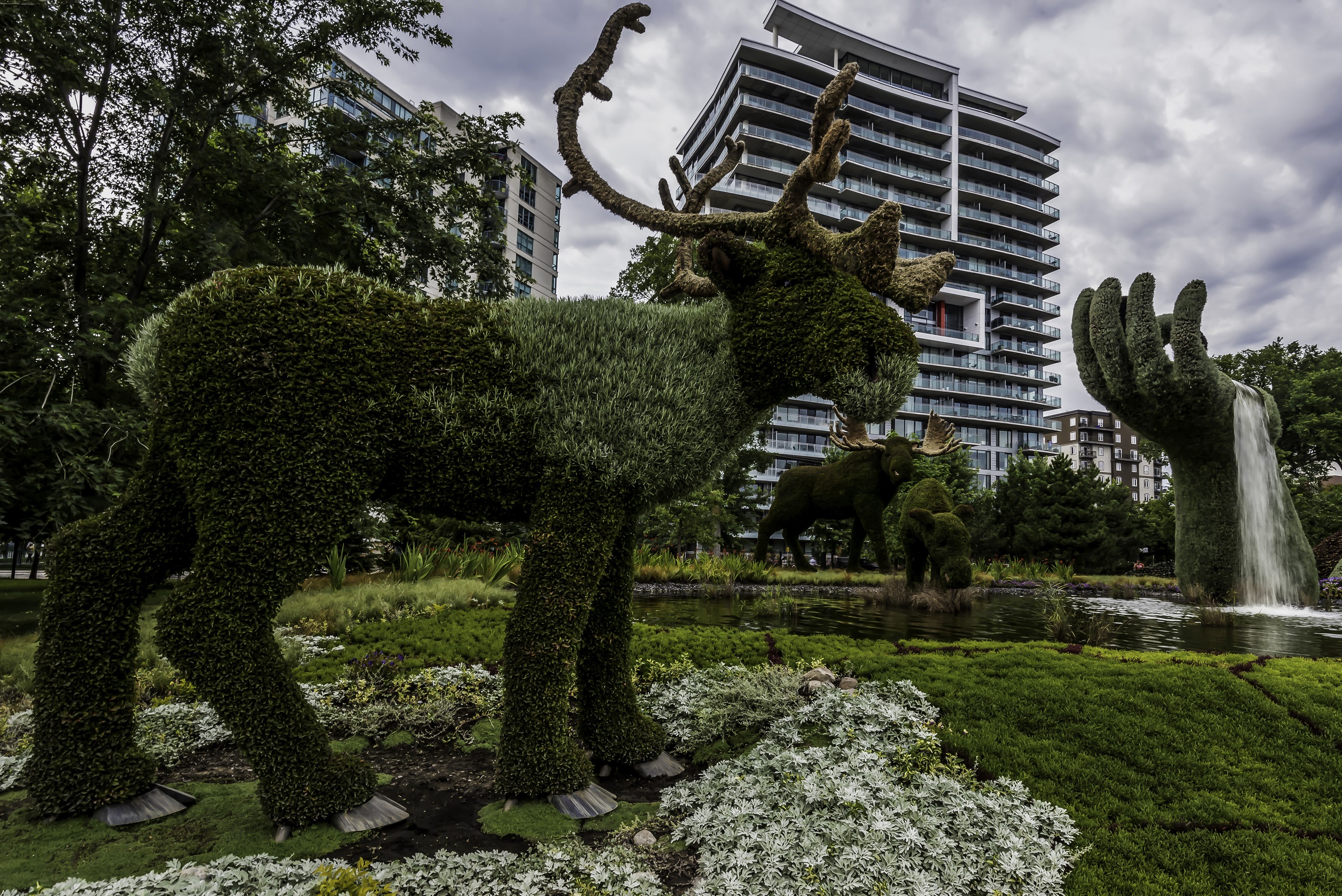 Topiary Moose Sculptures in a Garden with Modern Buildings HD Wallpaper