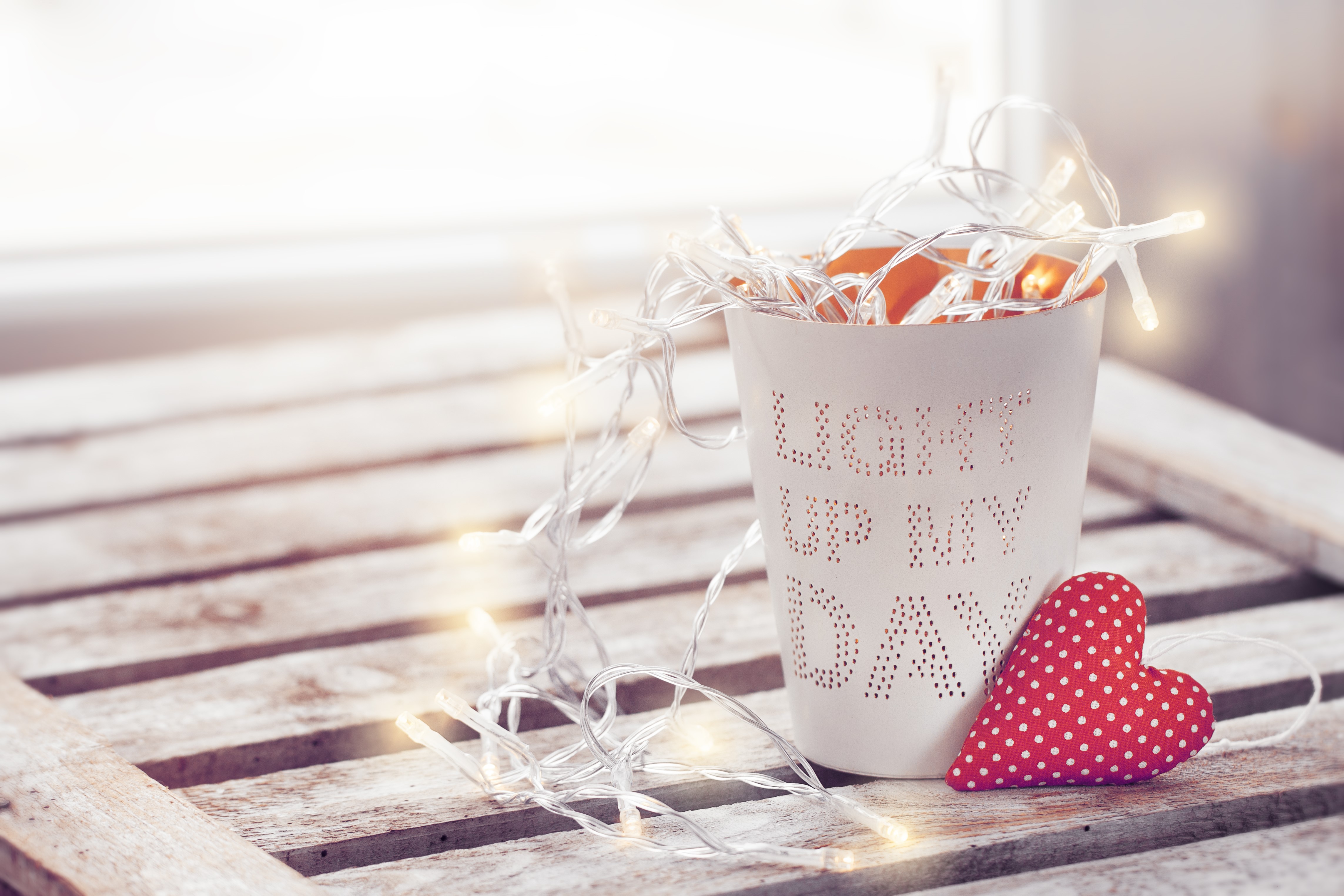 Valentine's Day heart and fairy lights in a pot HD Wallpaper