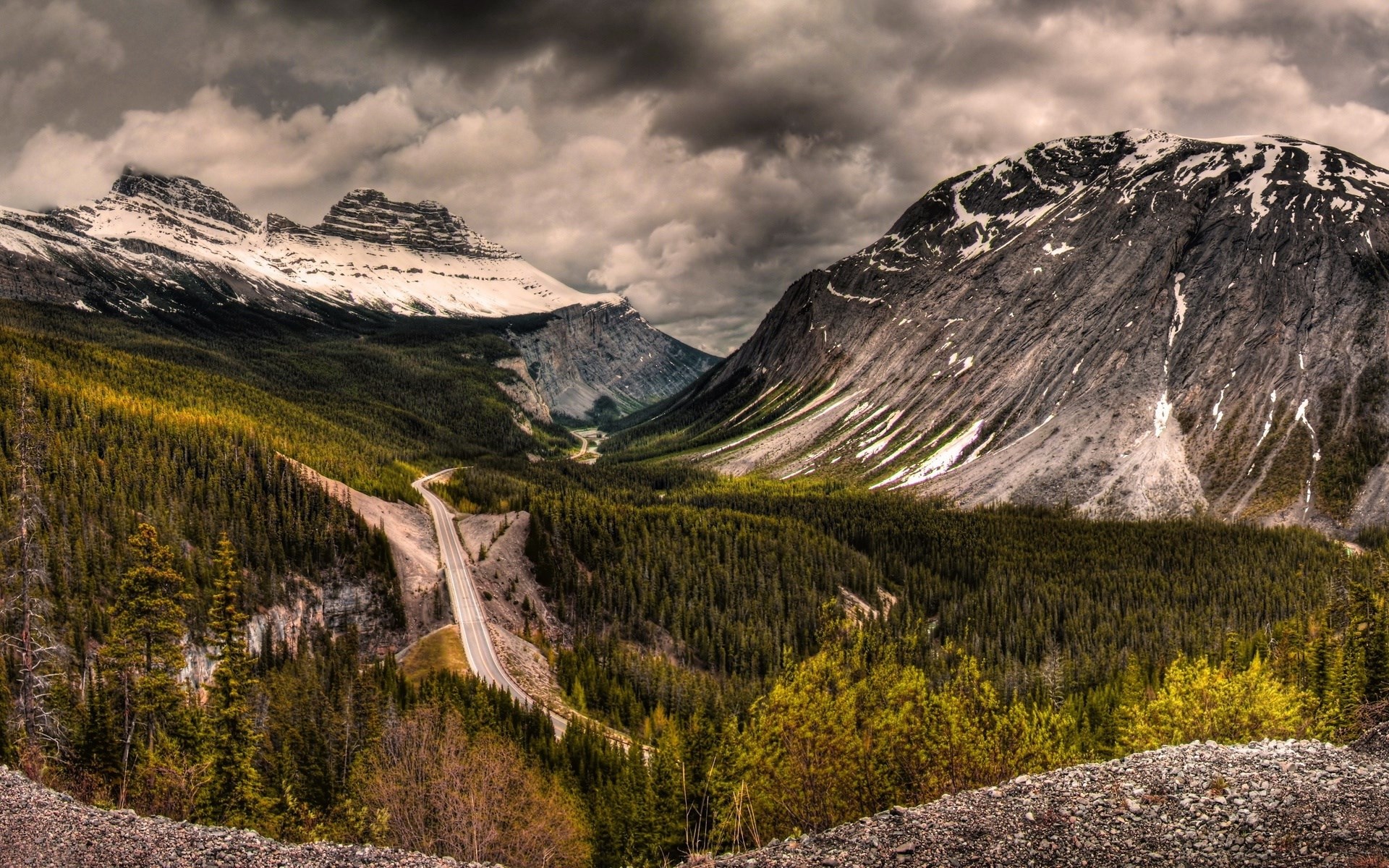Mountain valley with a road and pine forest HD Wallpaper