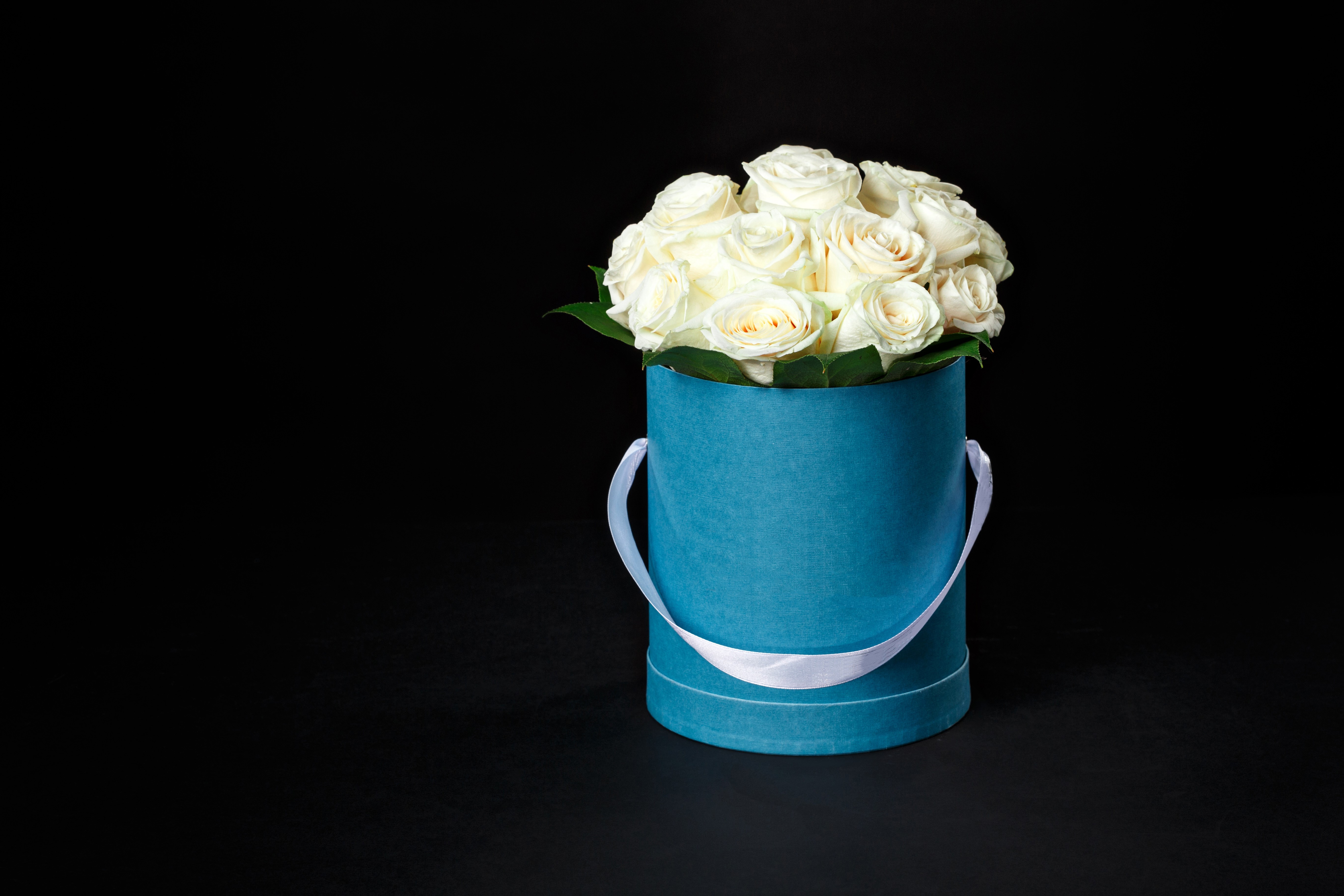 White Roses in a Blue Box HD Wallpaper