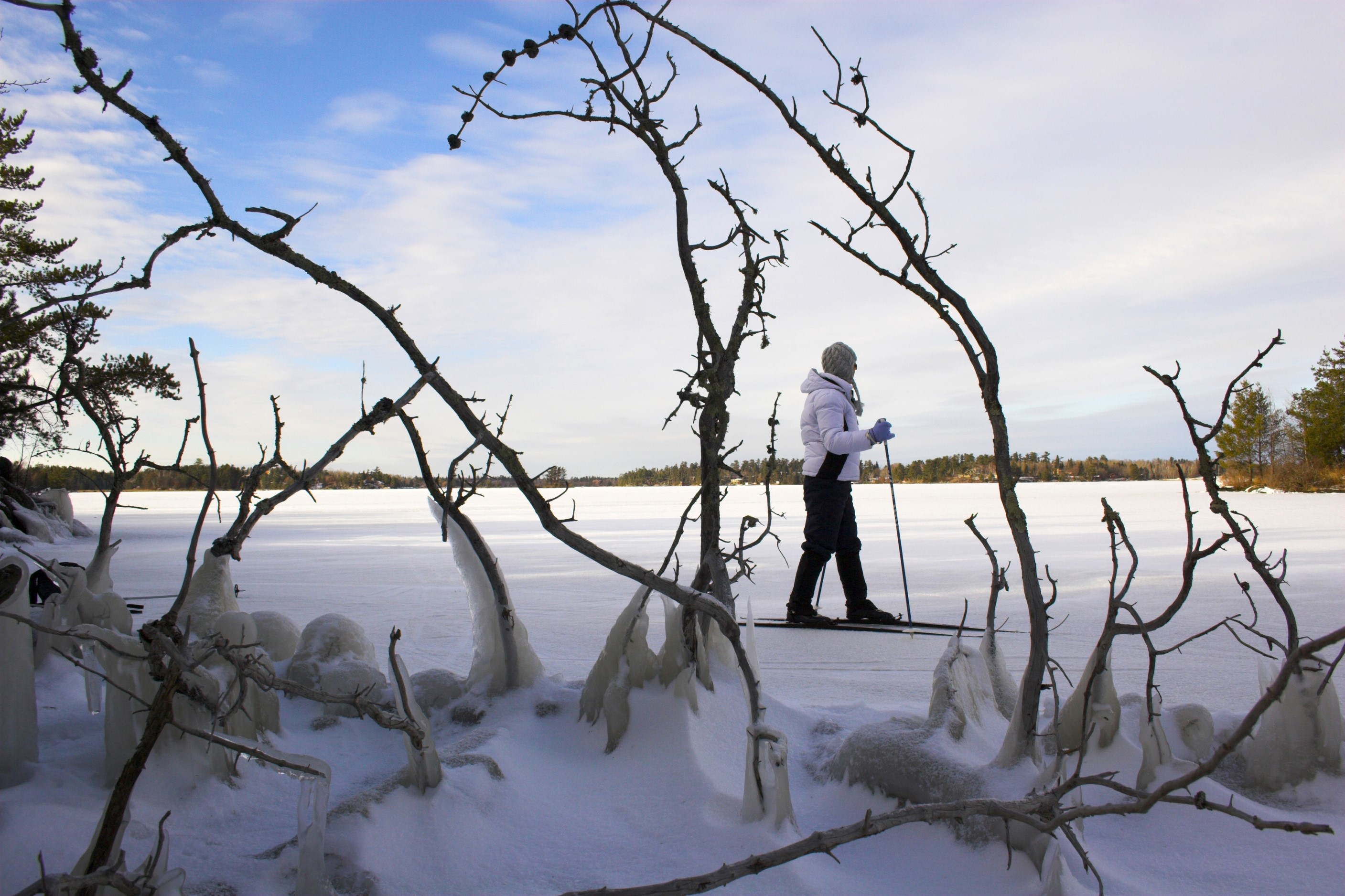 Person cross-country skiing on a frozen lake with bare branches HD Wallpaper