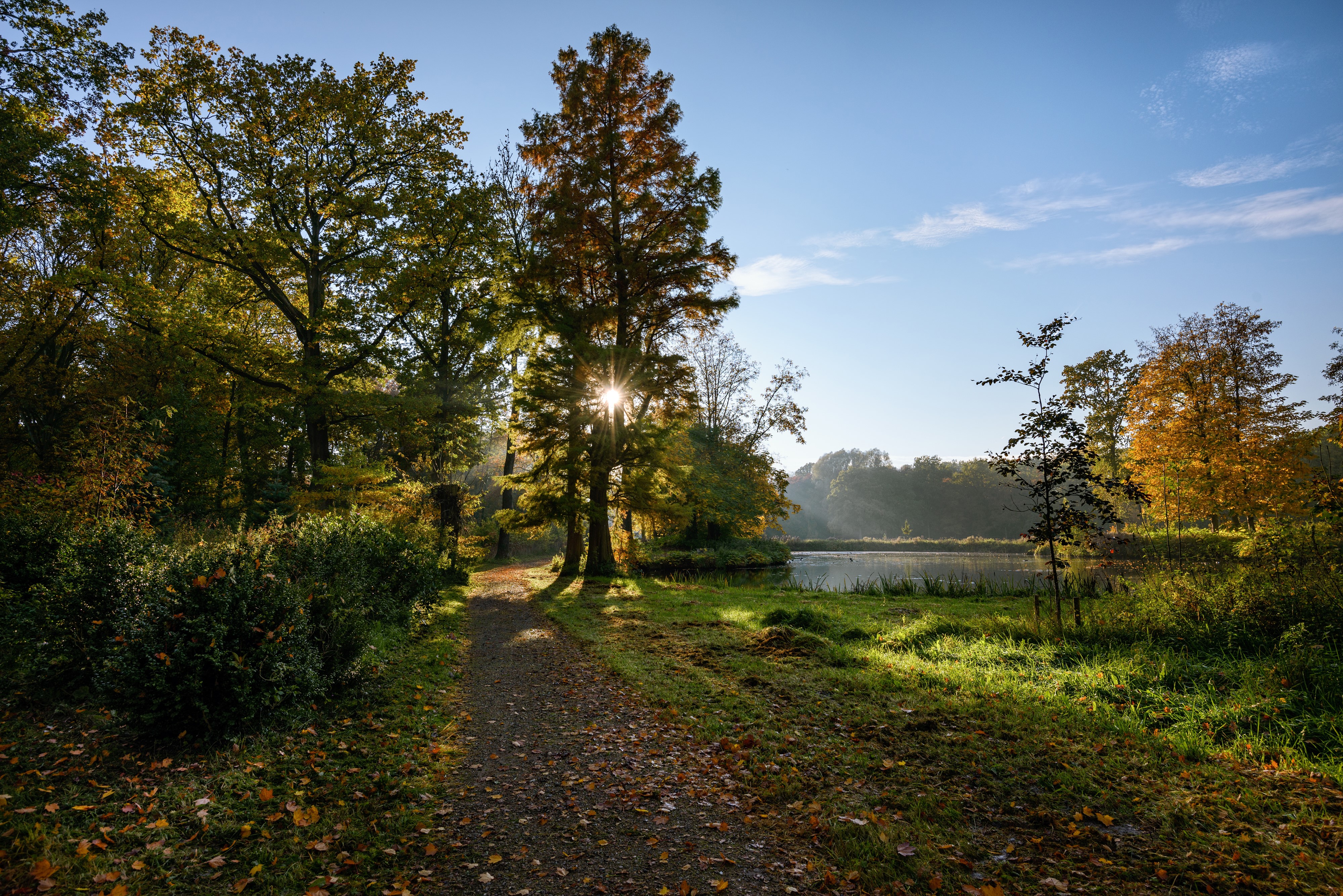 Castle De Haar park in Autumn with sun rays HD Wallpaper
