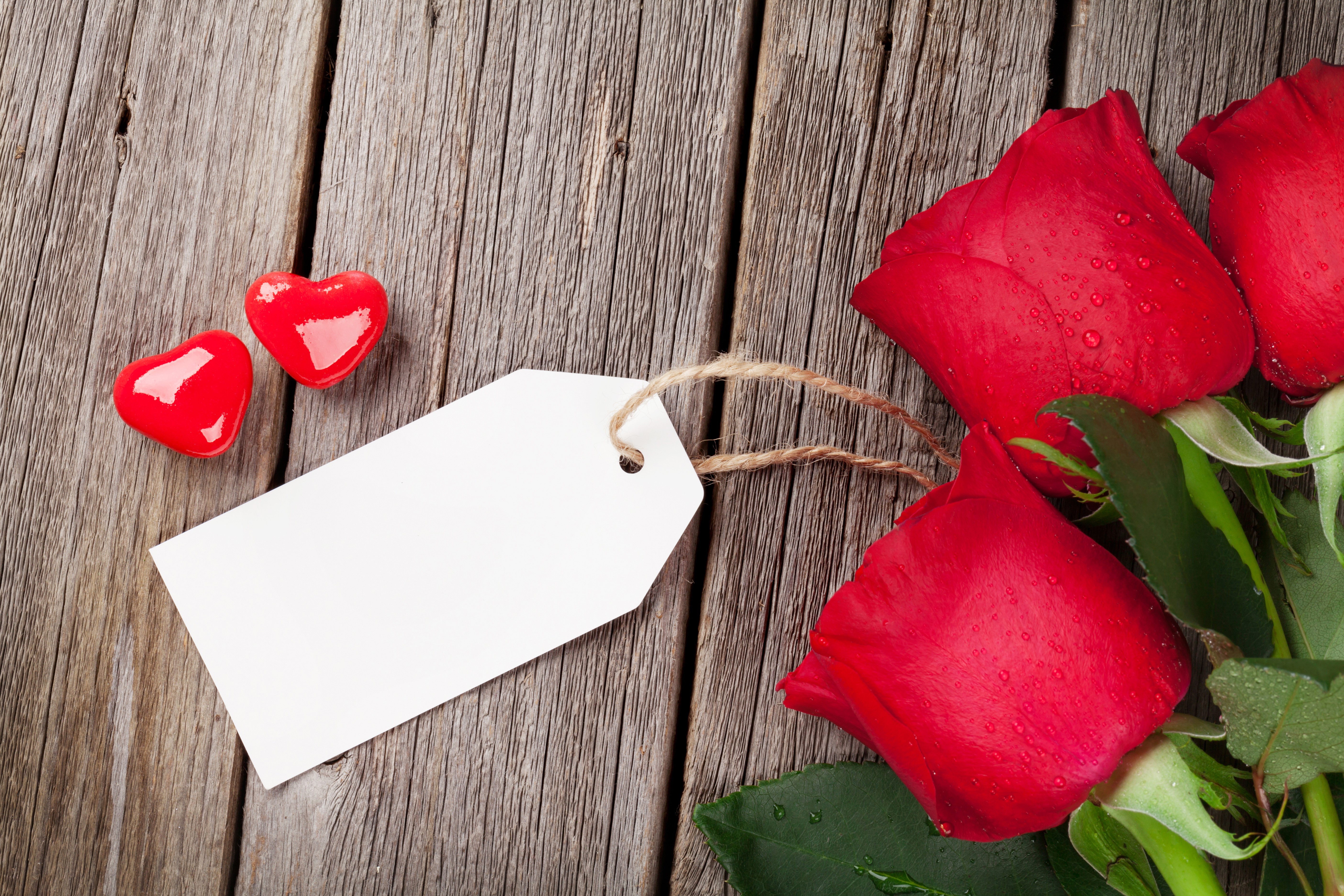 Red roses and hearts on wood planks with tag HD Wallpaper