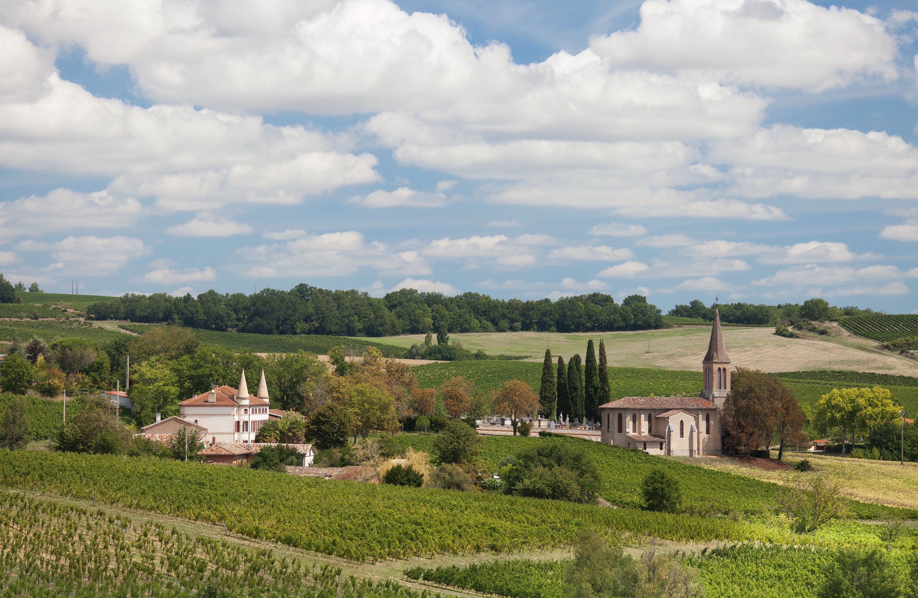 Gaillac, France: Church and Houses Amidst Vineyards HD Wallpaper