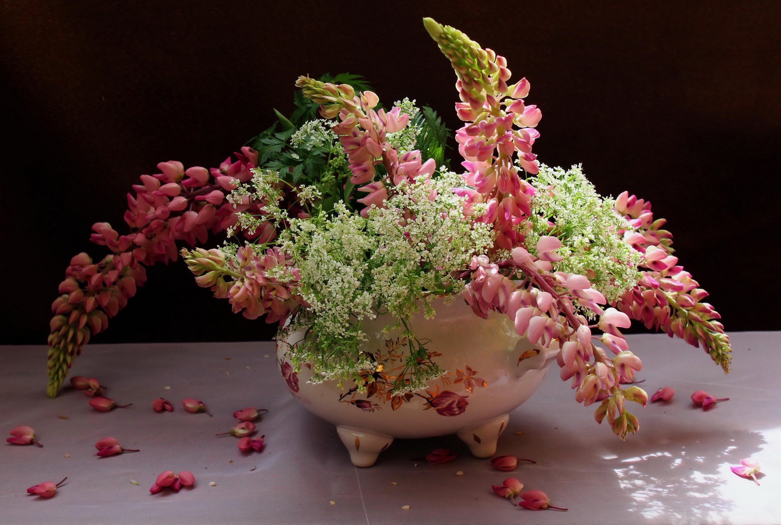Pink Lupinus flowers in a floral vase HD Wallpaper