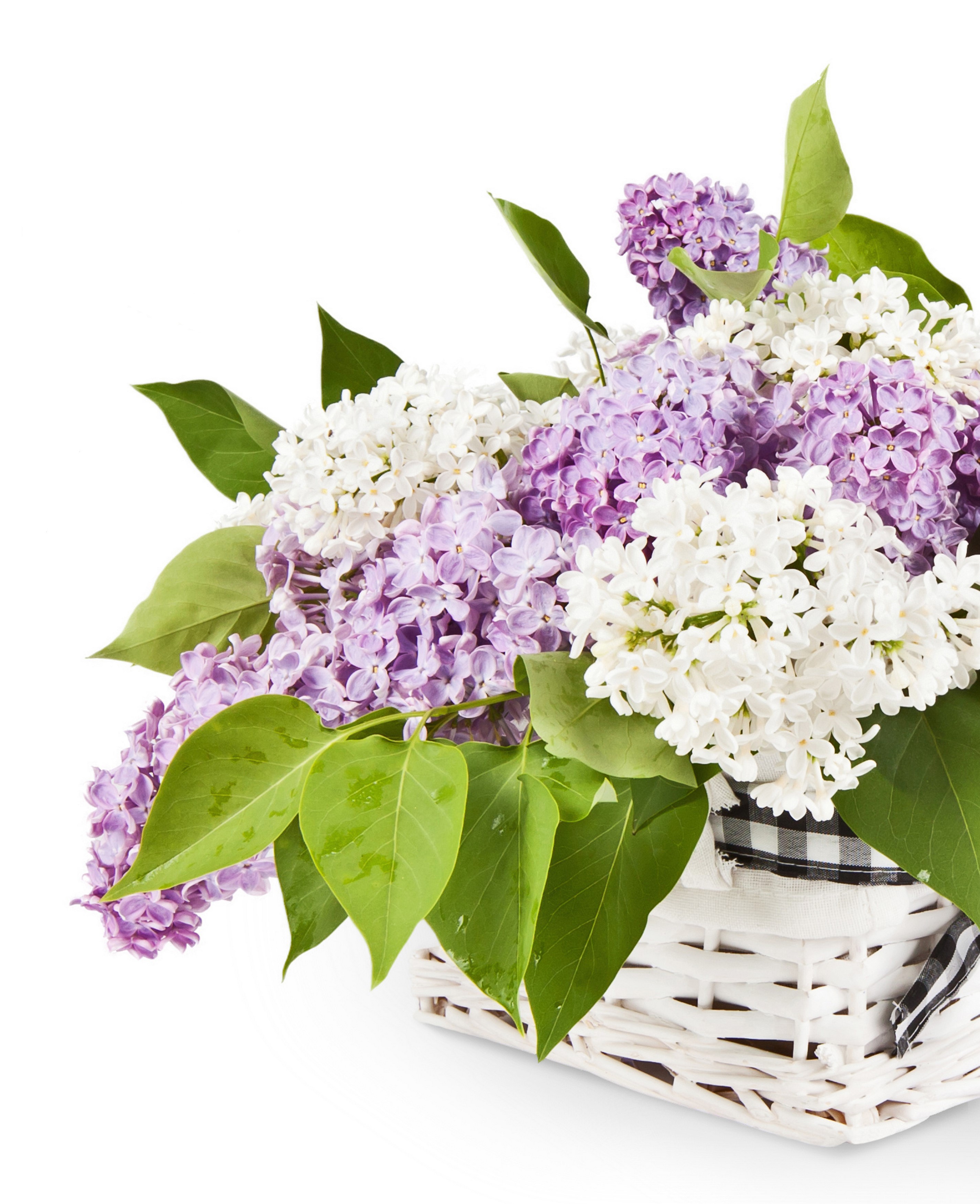 White and purple lilacs in a wicker basket HD Phone Wallpaper
