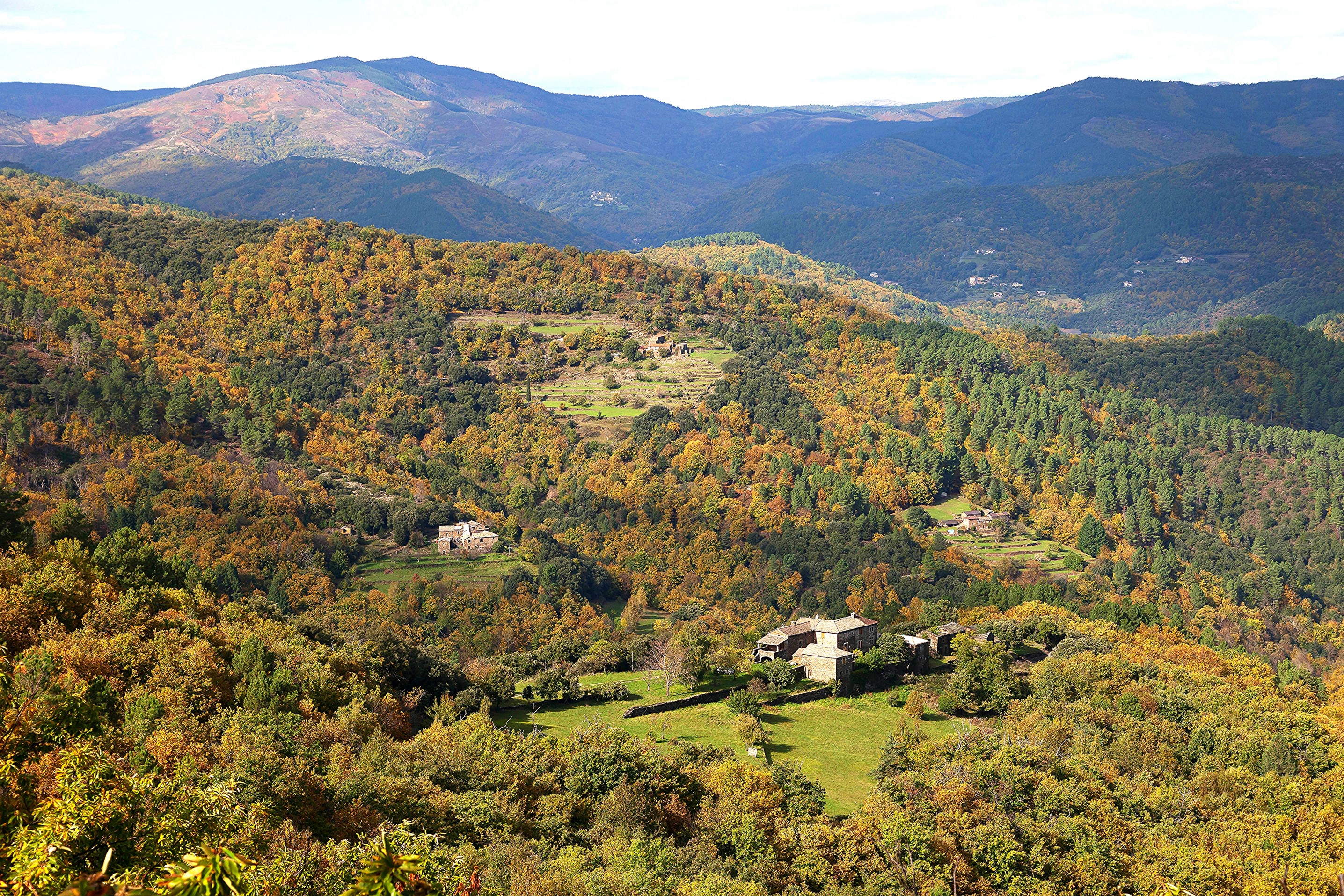 Autumn forest scenery in Saint Hilaire de Lavit, France HD Wallpaper