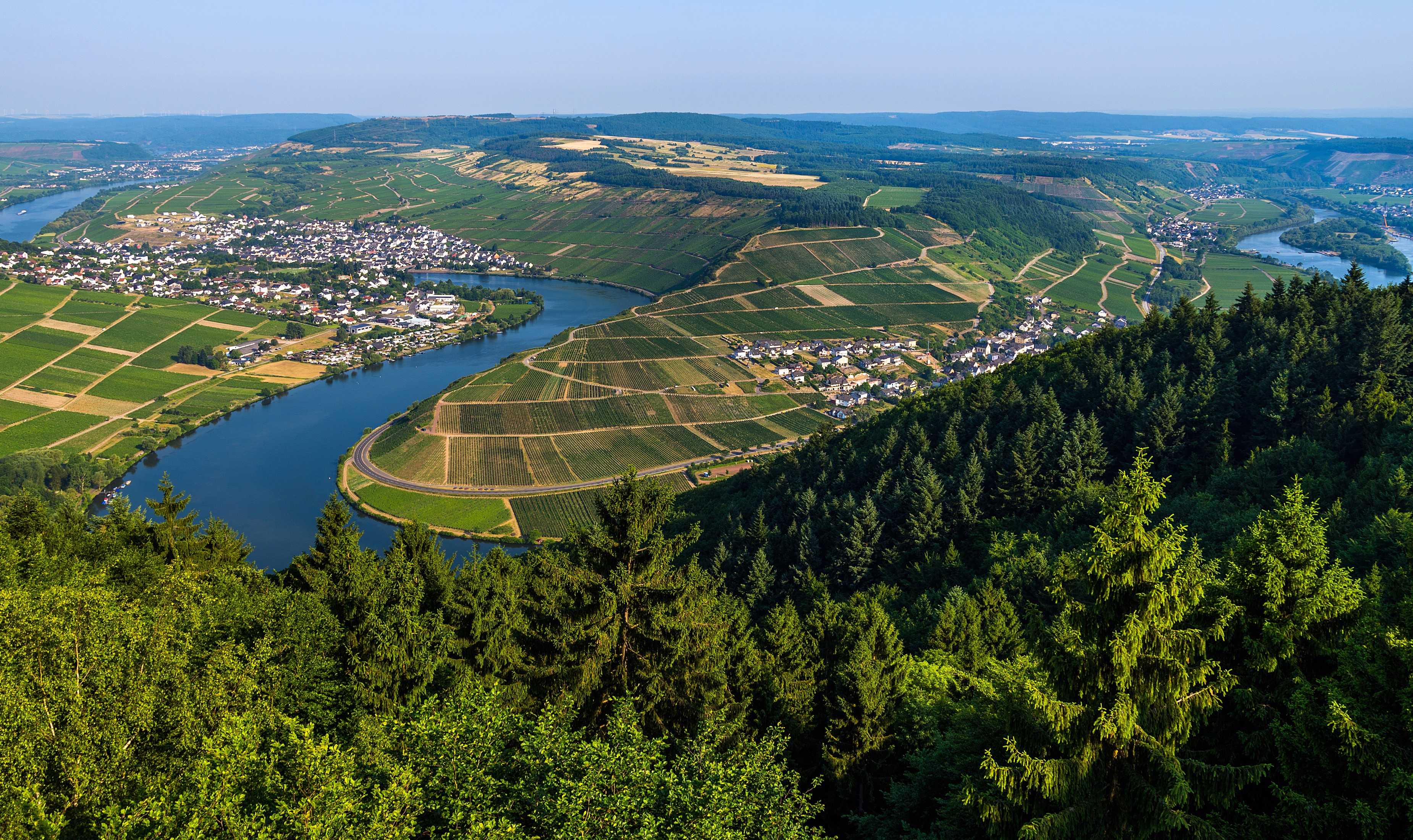 Moselle River valley with vineyards and forests in Germany HD Wallpaper