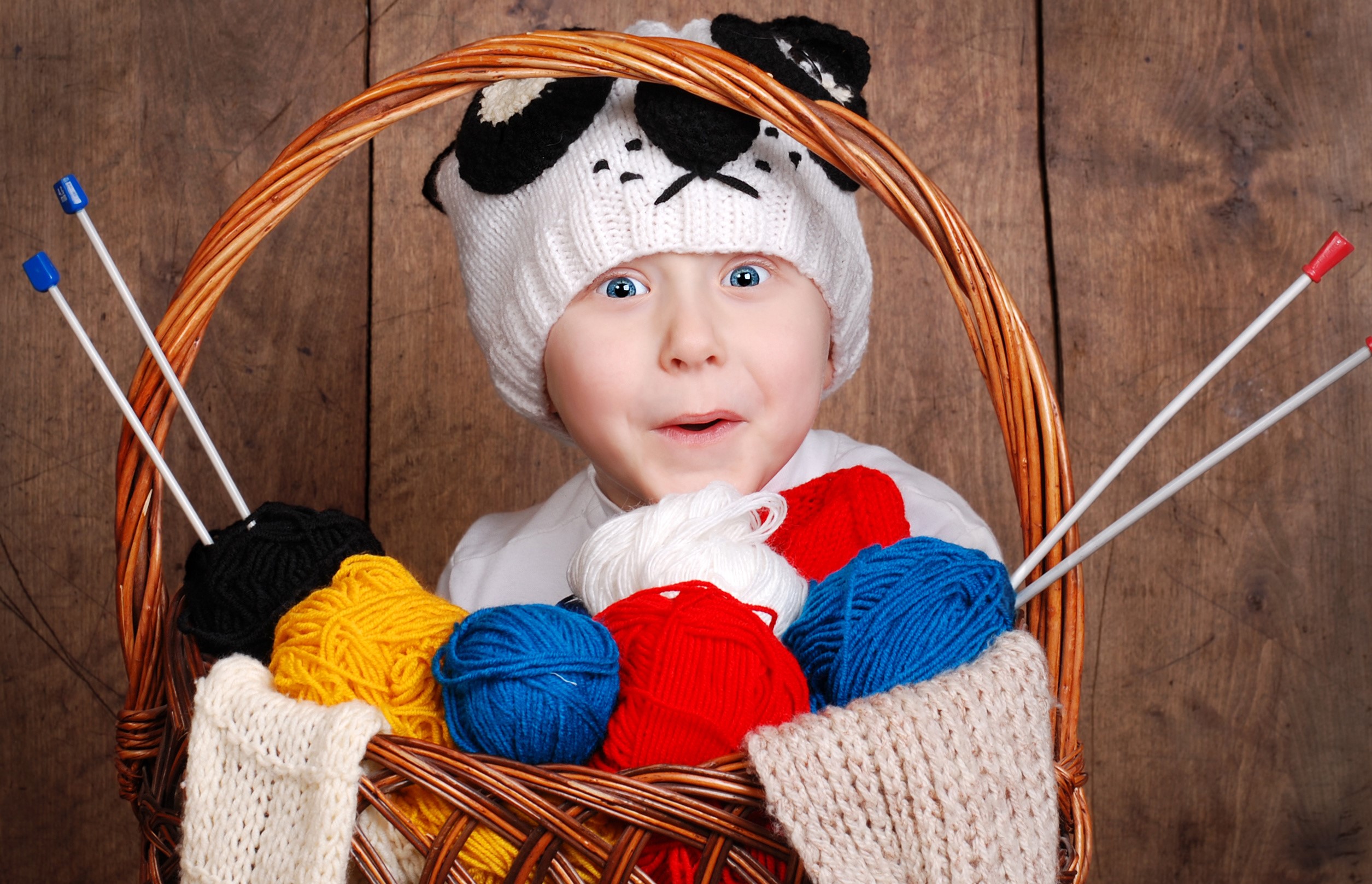 Boy in panda hat with knitting supplies in basket HD Wallpaper