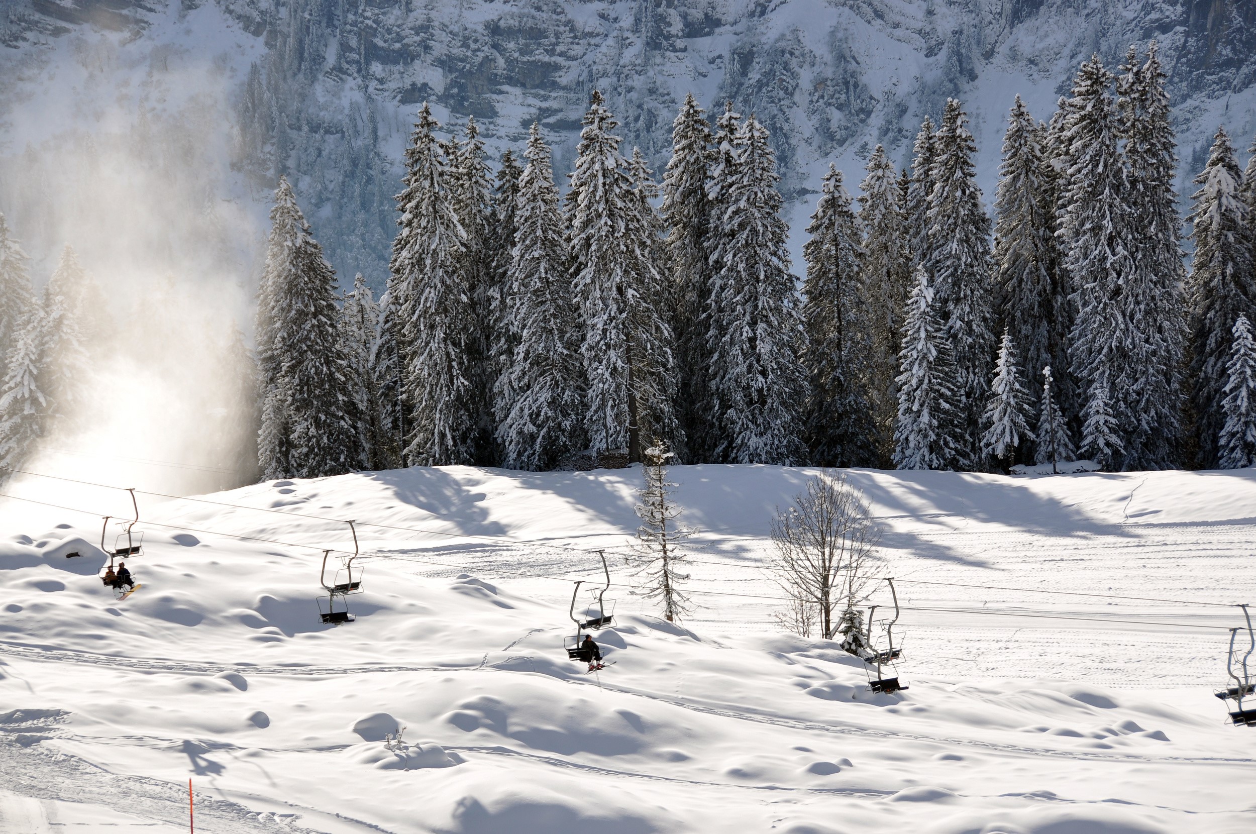 Ski lift chairs moving up a snowy slope with pine trees HD Wallpaper