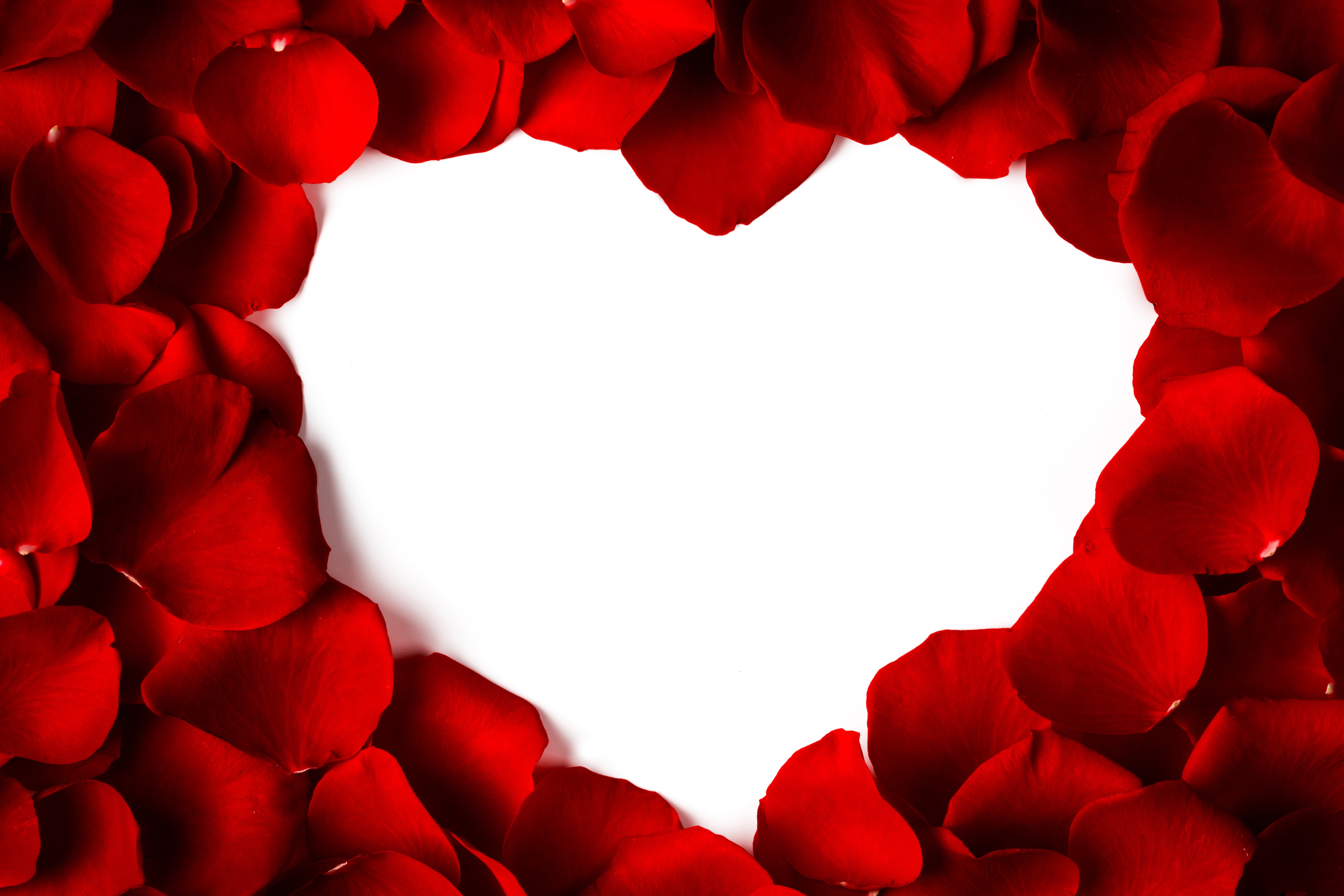 Red Rose Petals Forming a Heart Shape HD Wallpaper
