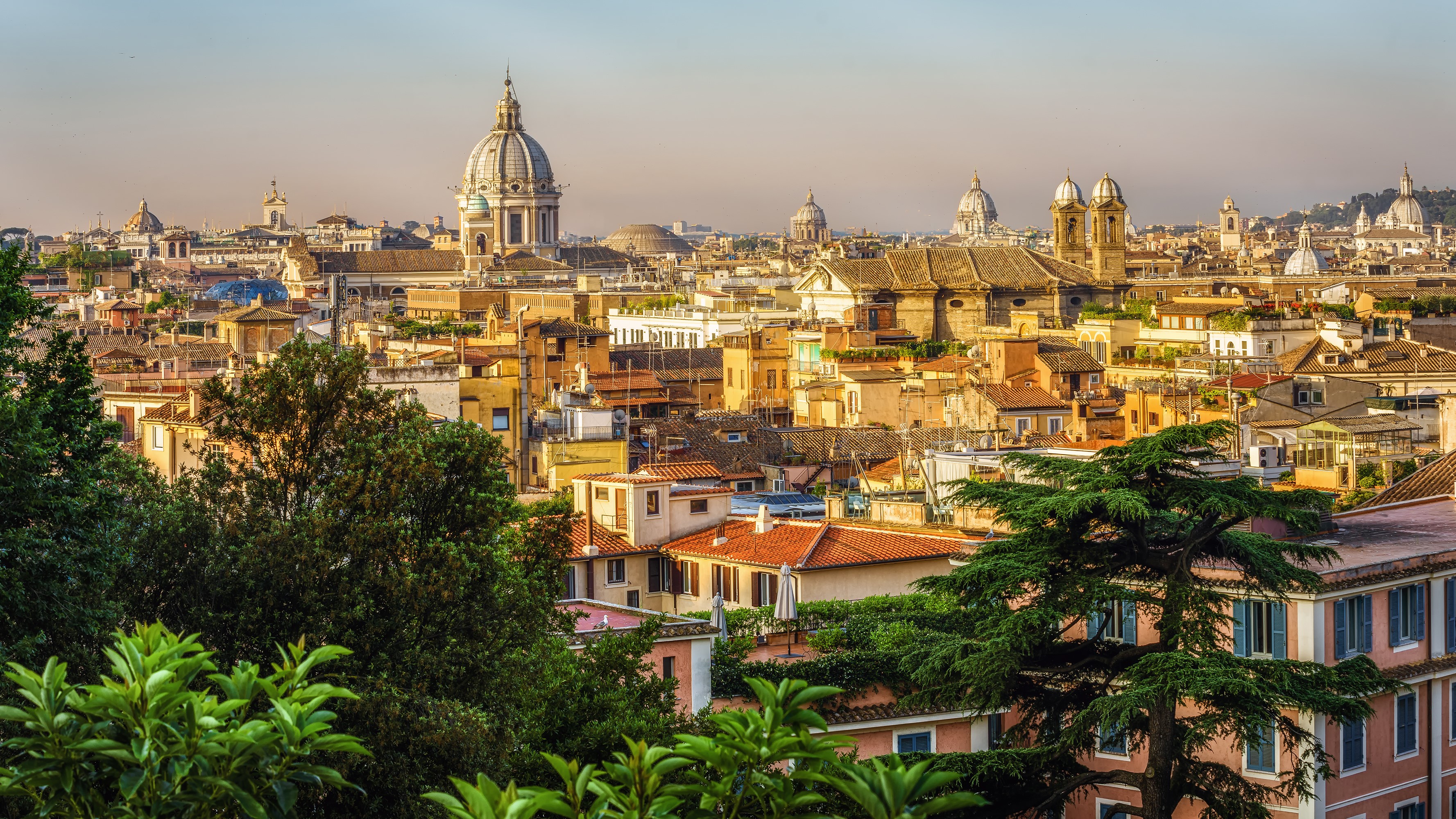 Rome cityscape with domes and trees HD Wallpaper