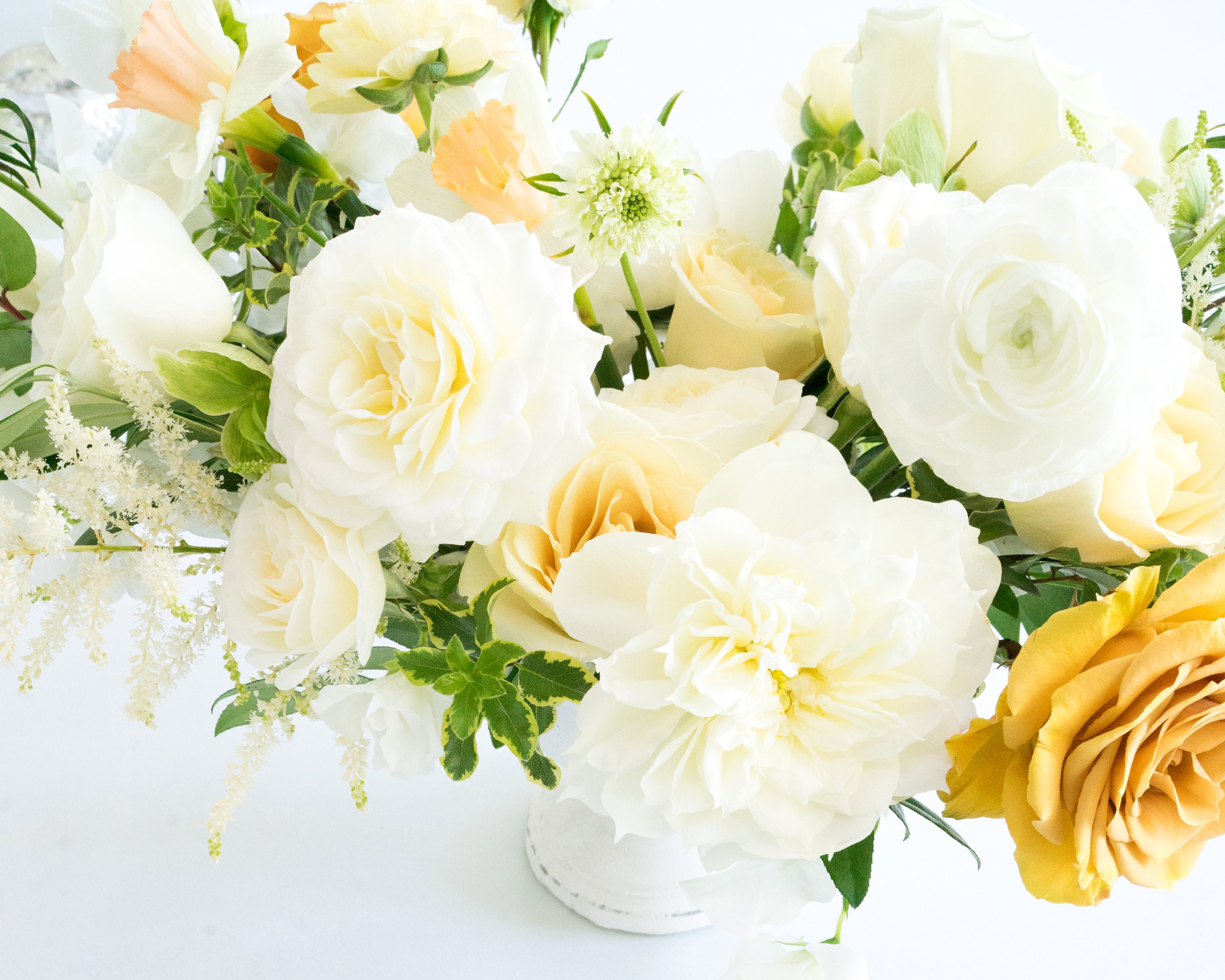 White and yellow floral arrangement in a vase HD Wallpaper