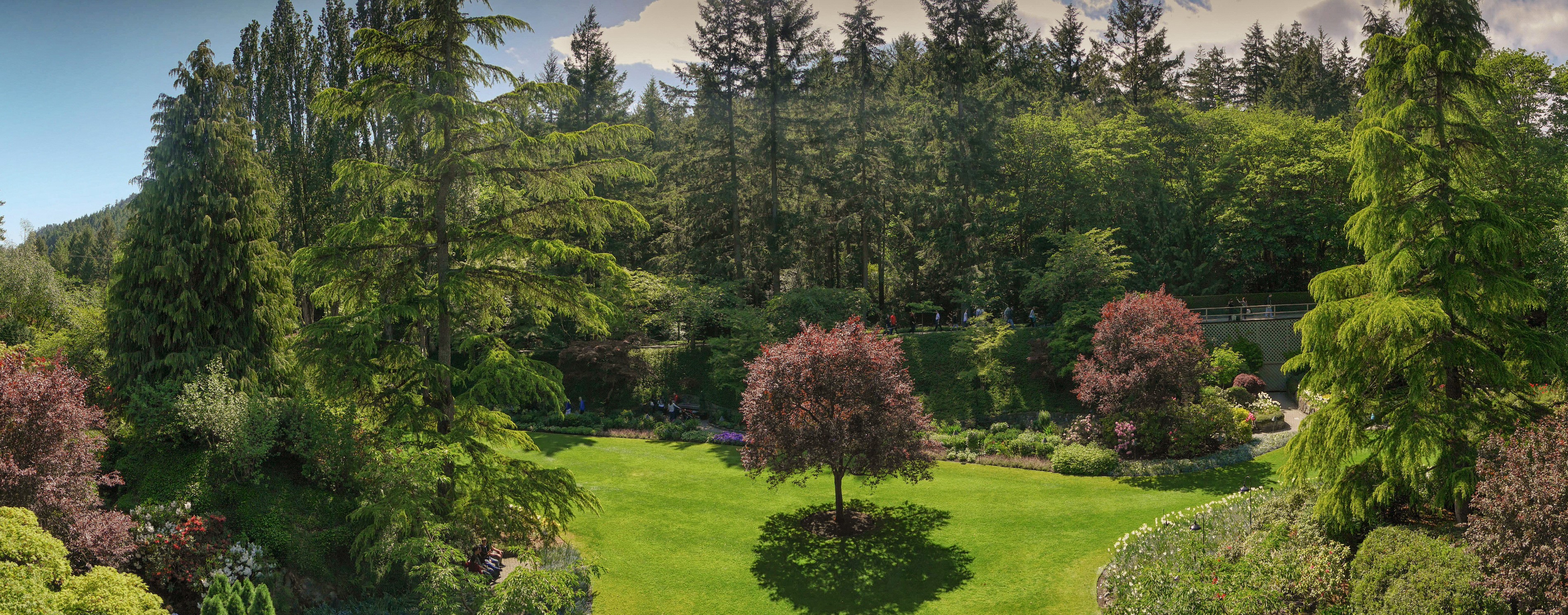 Butchart Gardens with trees and lawn HD Wallpaper