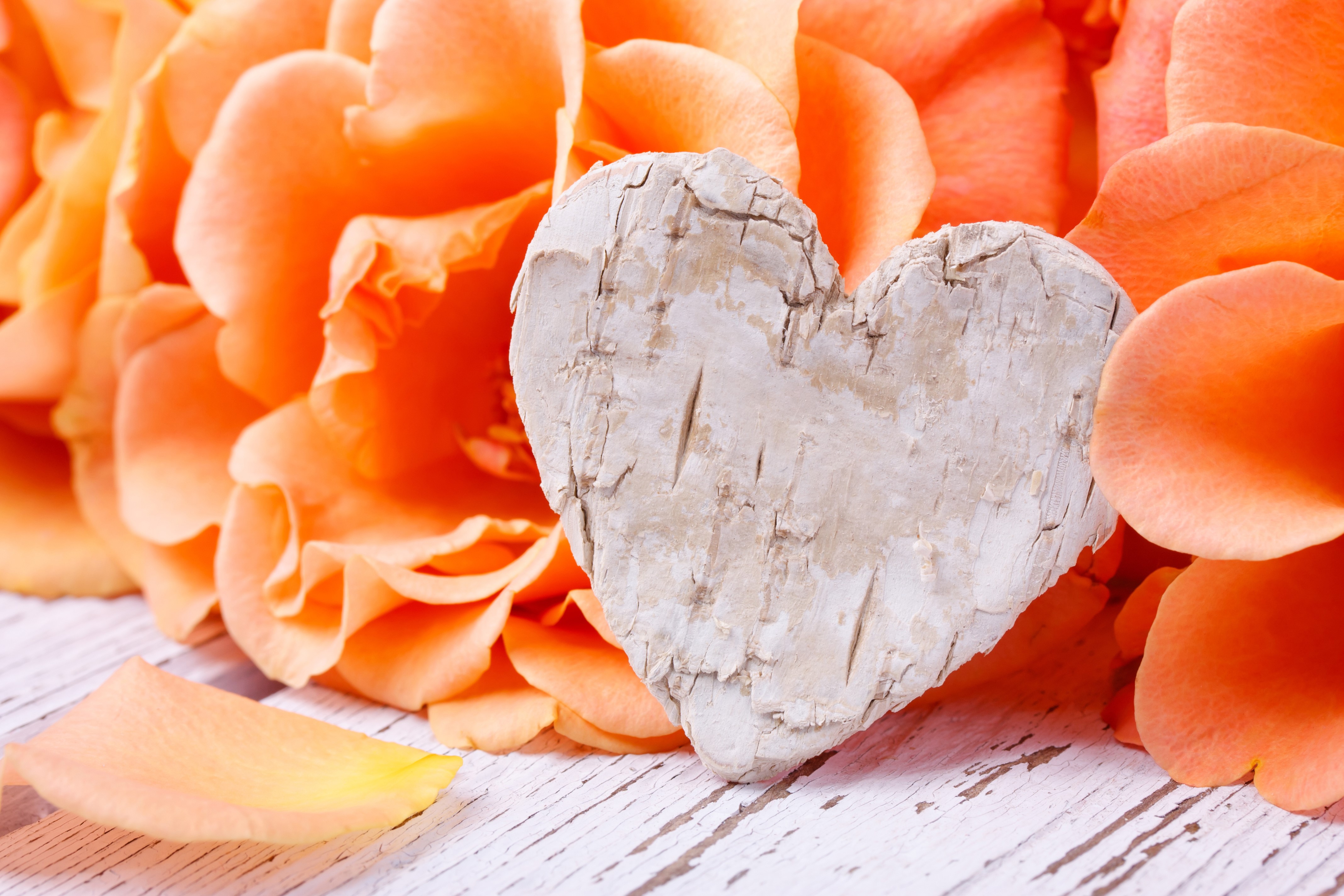 Orange Roses and Heart Decoration HD Wallpaper