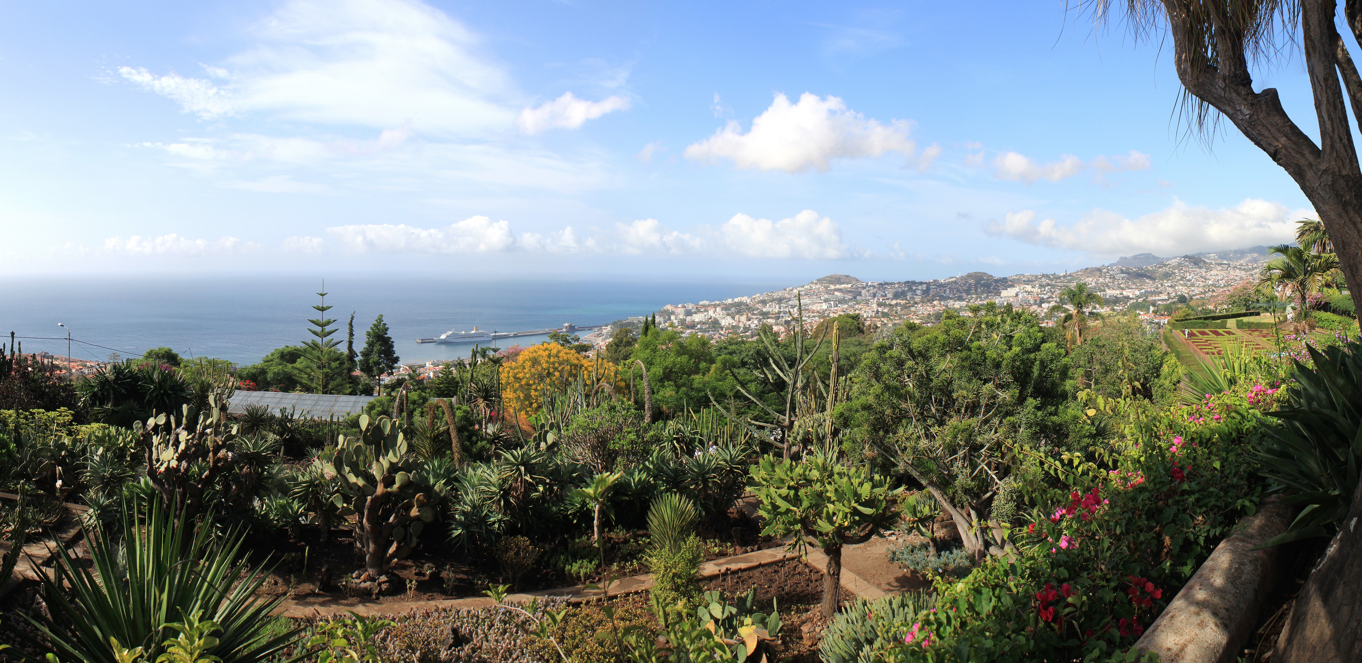 Botanical Garden Funchal Madeira Portugal HD Wallpaper