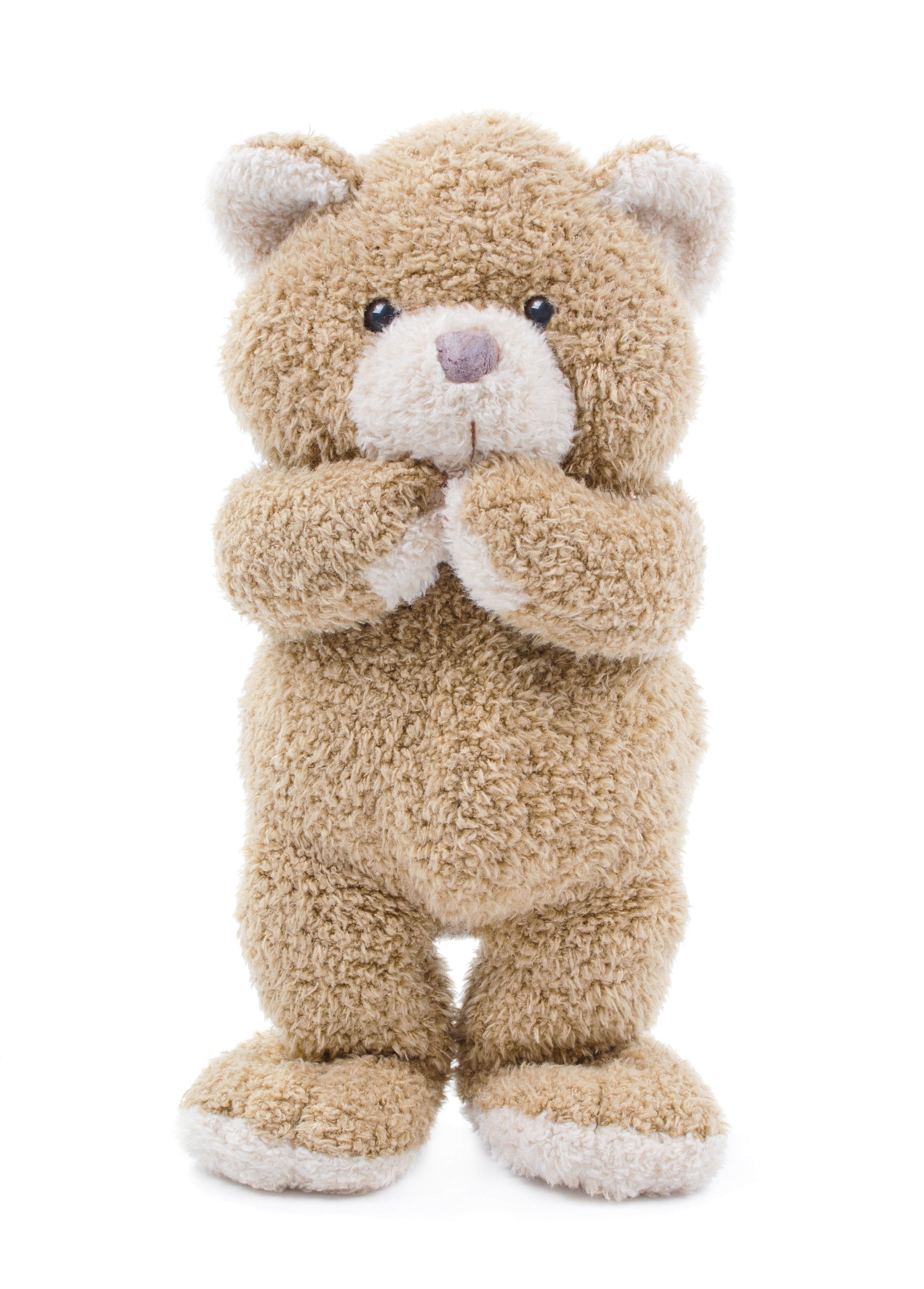 A fluffy teddy bear standing on a white background HD Phone Wallpaper