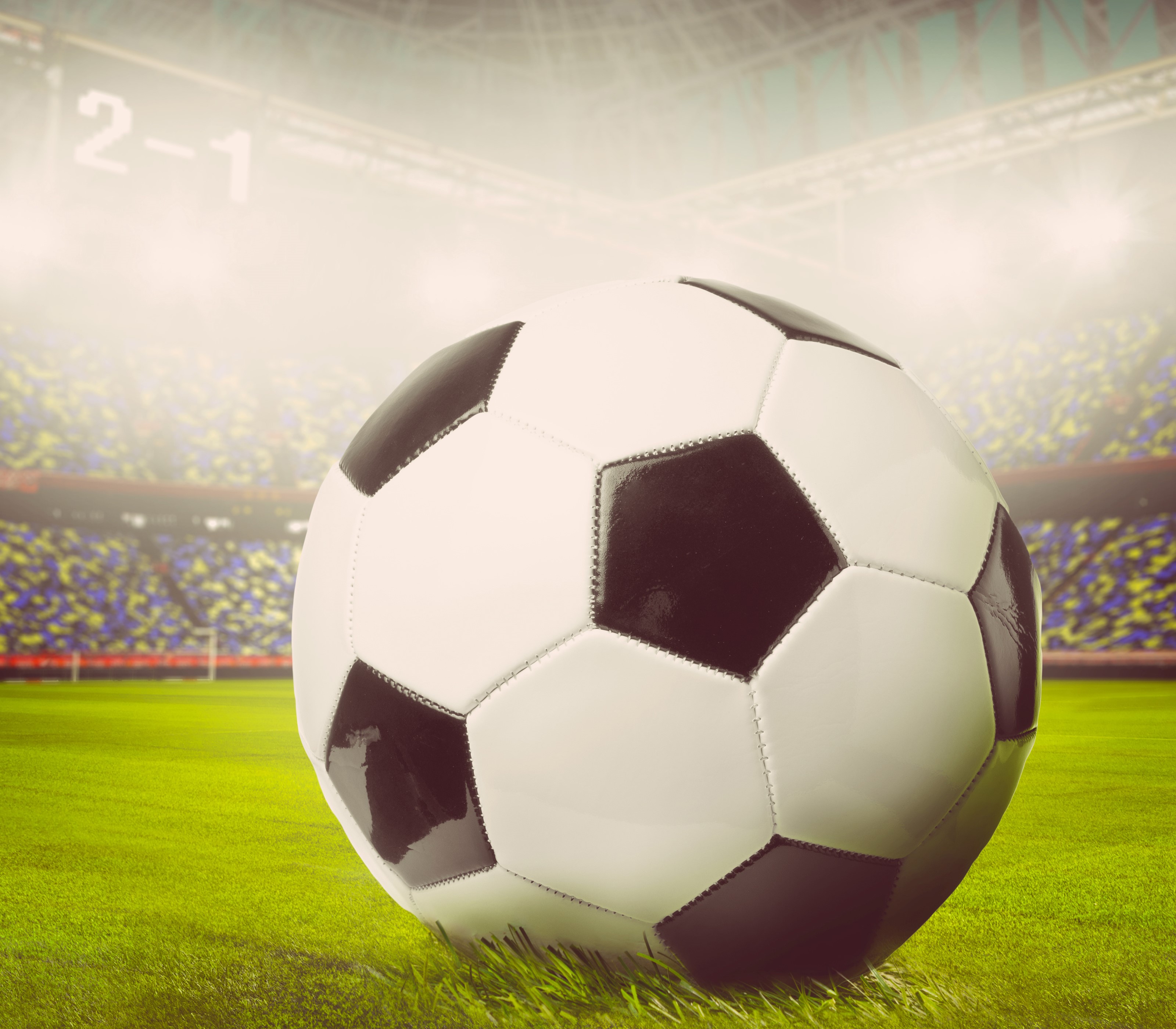 Soccer ball on a grassy field in a stadium HD Wallpaper