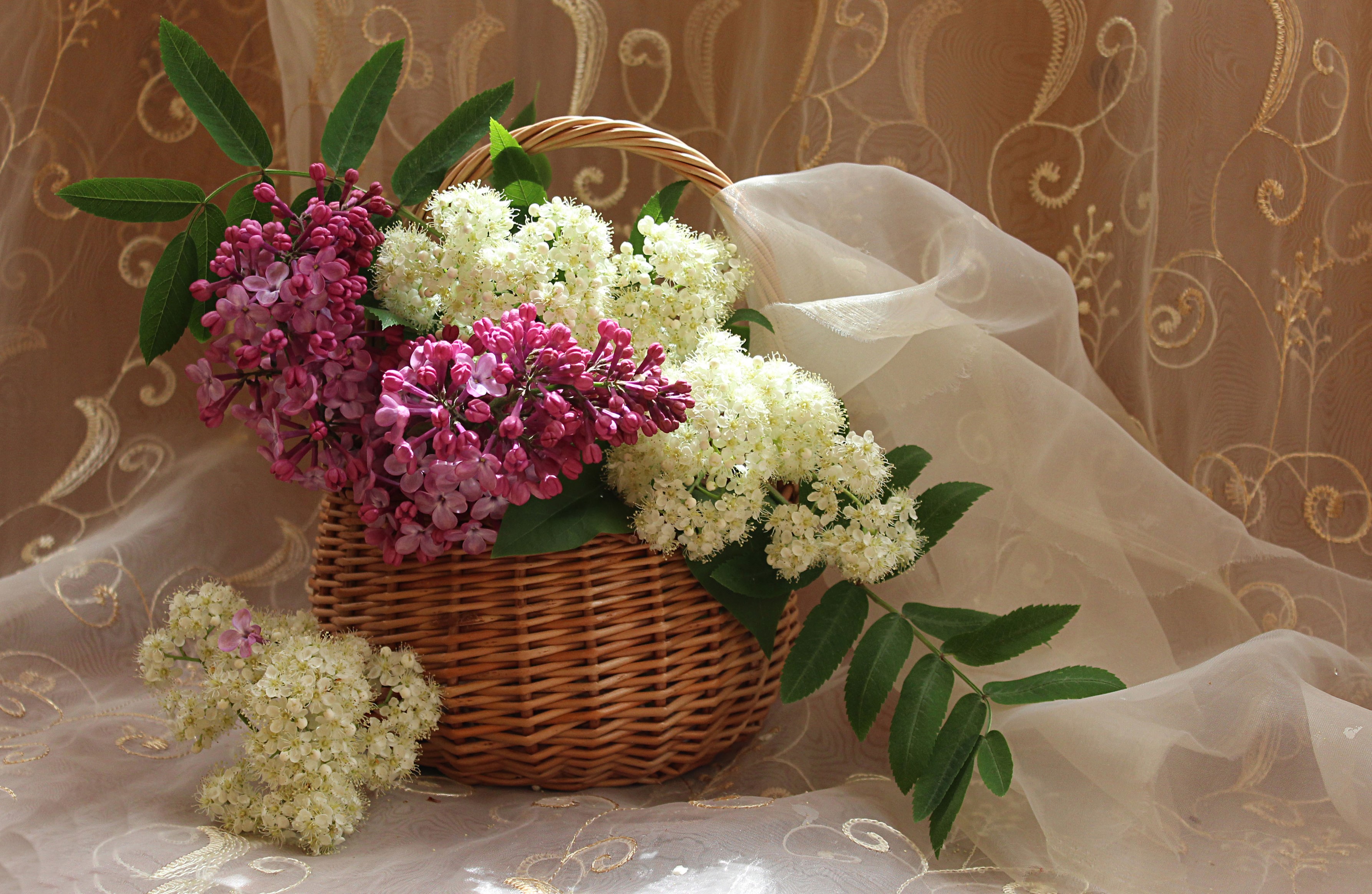 Lilac and white flowers in a wicker basket HD Wallpaper