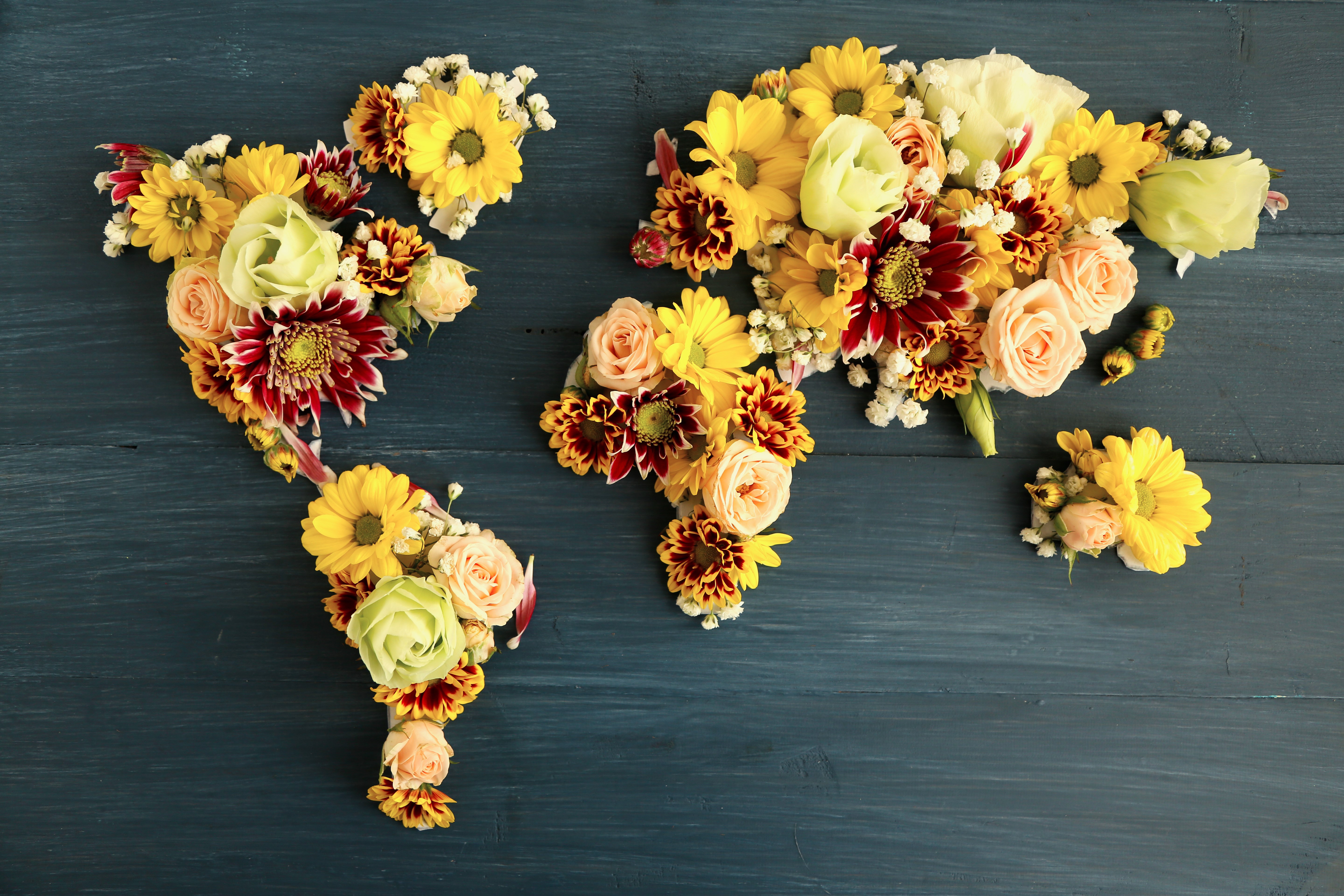 World map made of flowers on wood planks HD Wallpaper