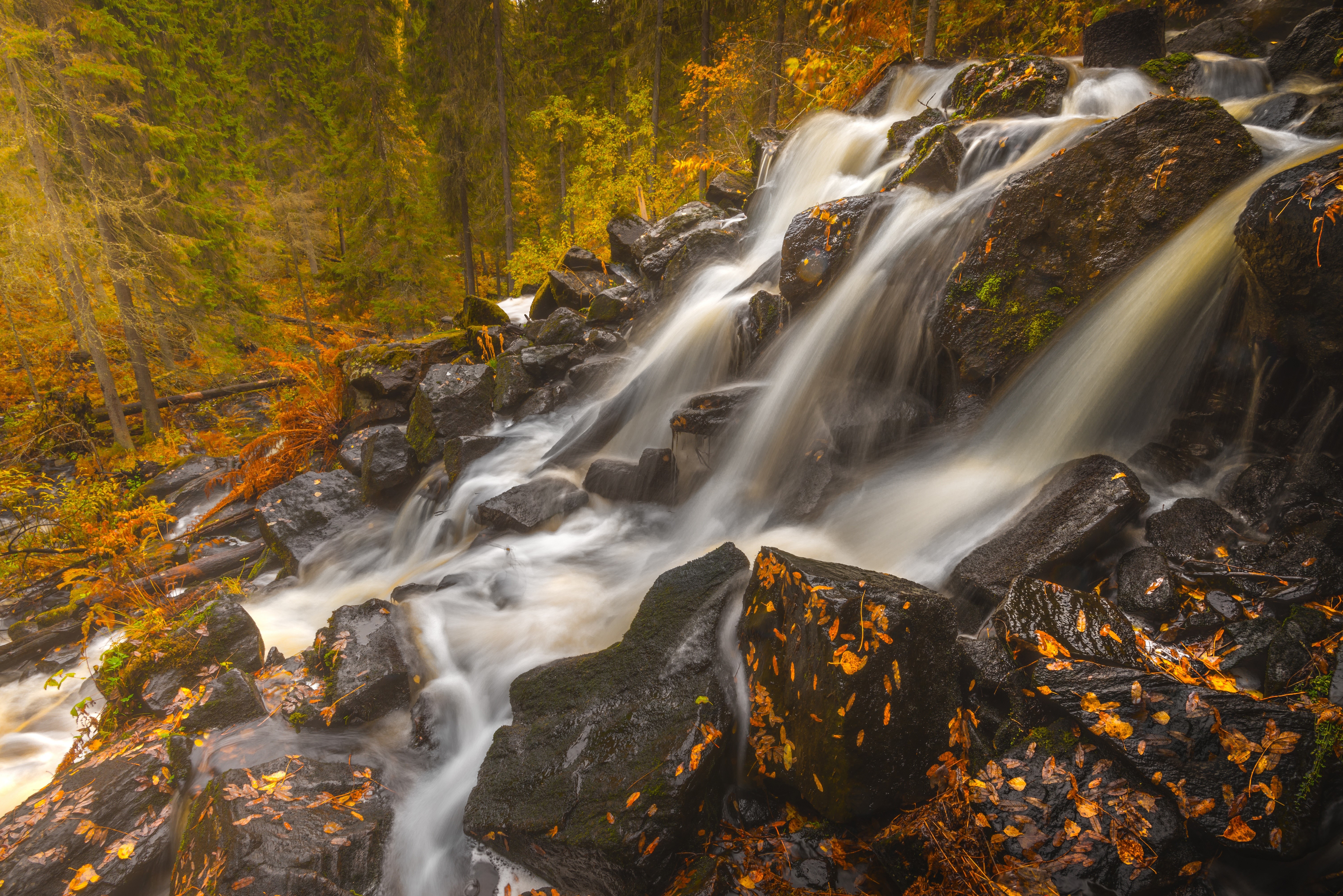 Autumn waterfall in Northern Savonia, Finland HD Wallpaper