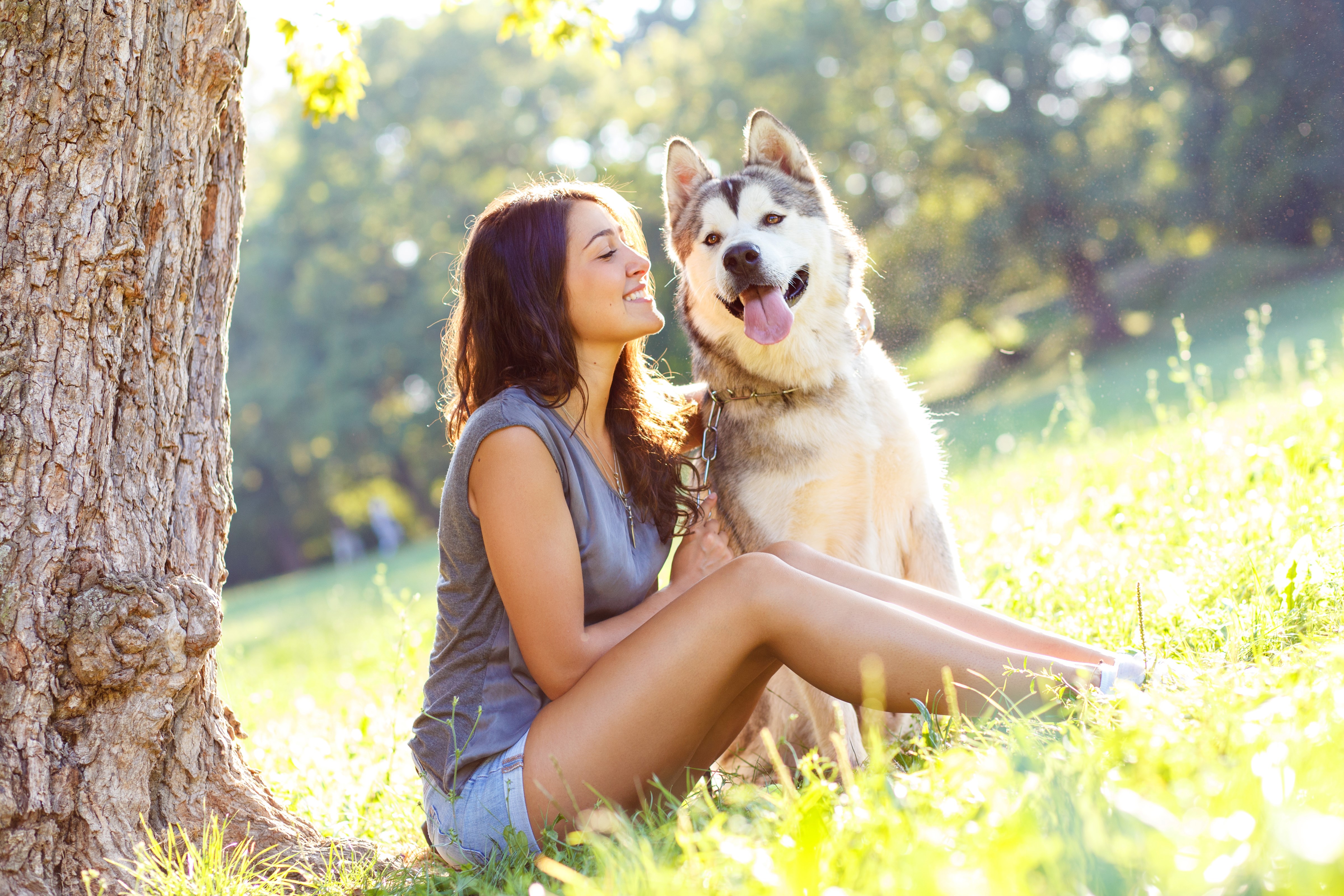 Girl with Husky Dog Sitting Under Tree HD Wallpaper