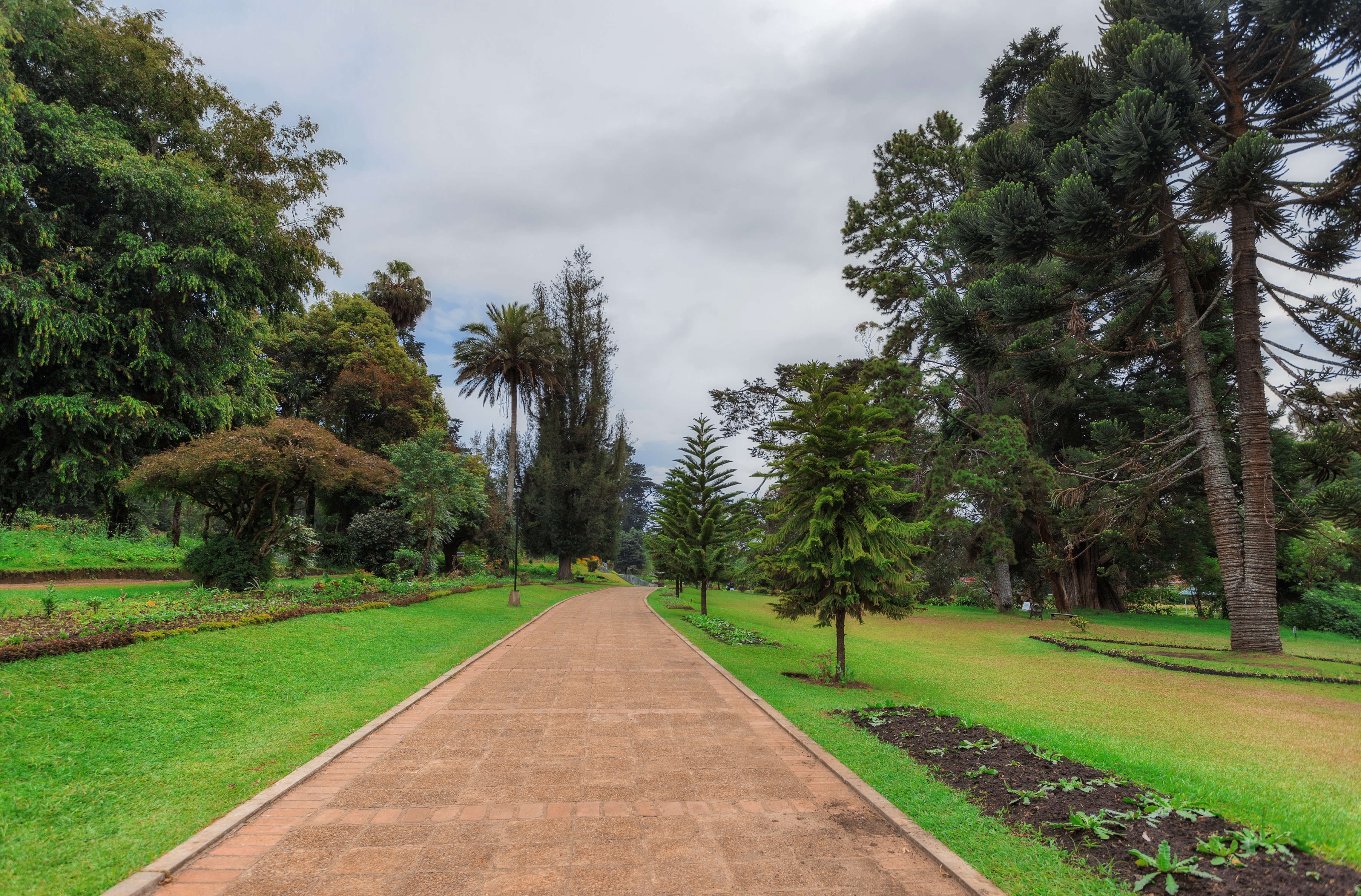 Queen Victoria Park, Sri Lanka HD Wallpaper