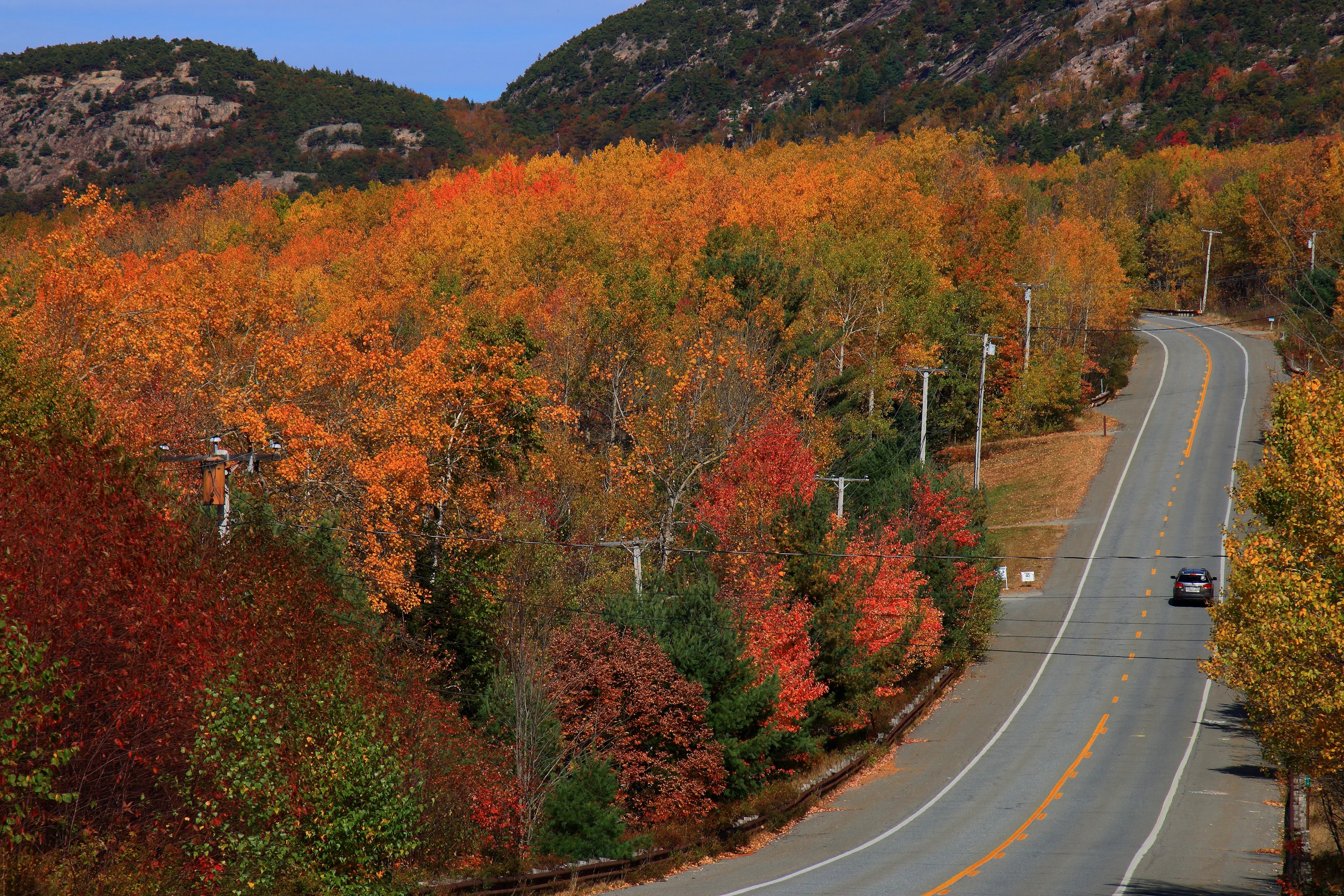 Road through Acadia National Park during autumn HD Wallpaper