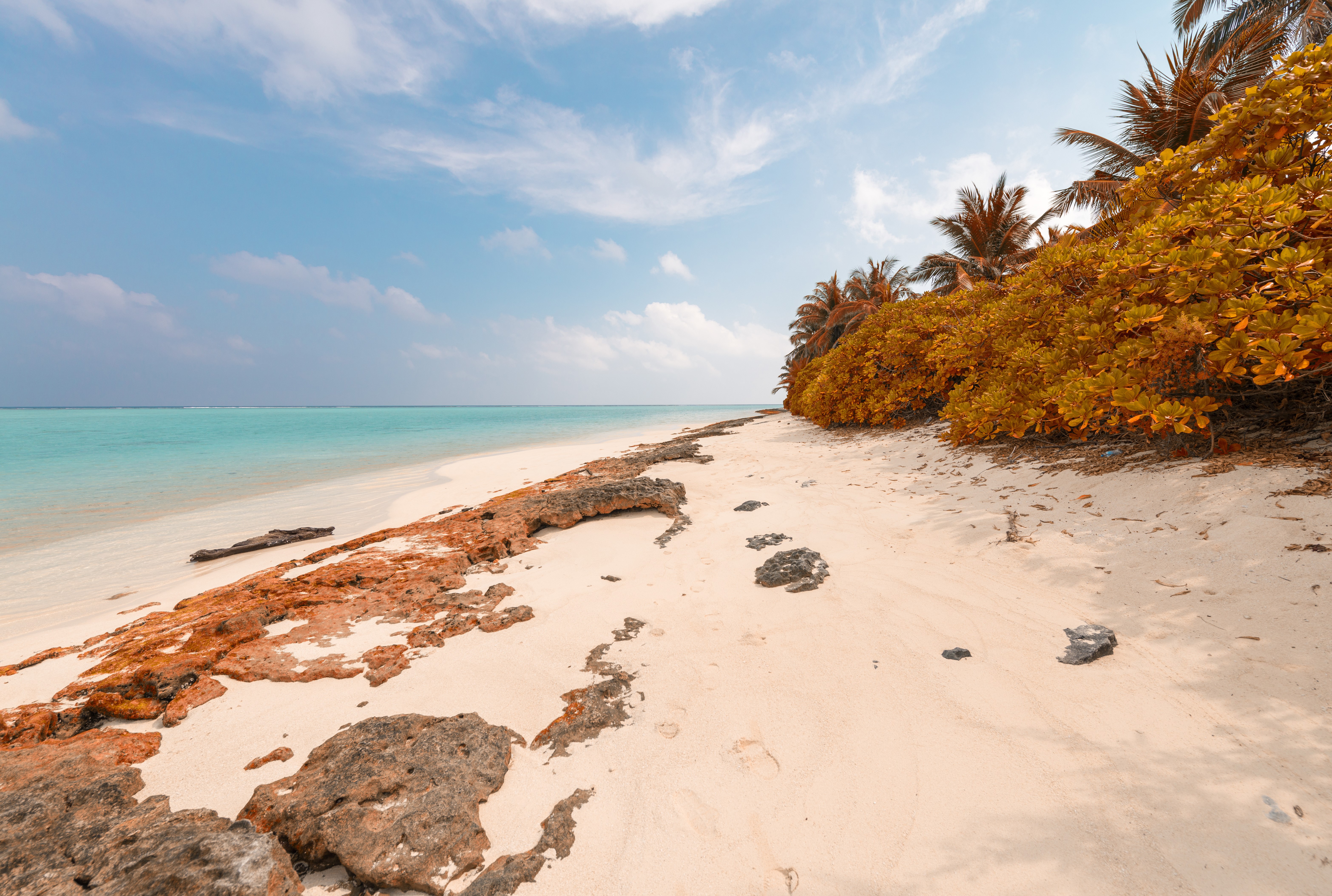 Beach with rocks and palm trees in Maldives HD Wallpaper