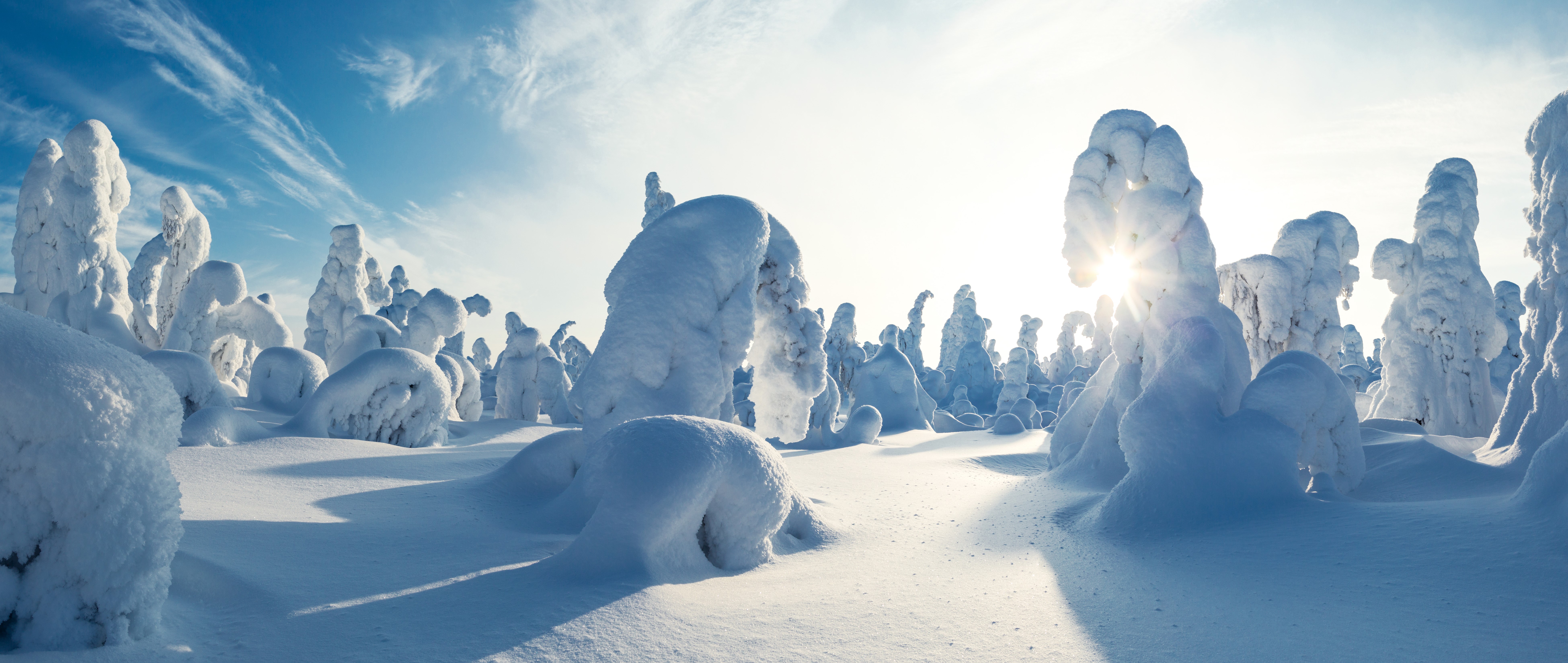 Snow-covered trees in Kuntivaara, Finland HD Wallpaper