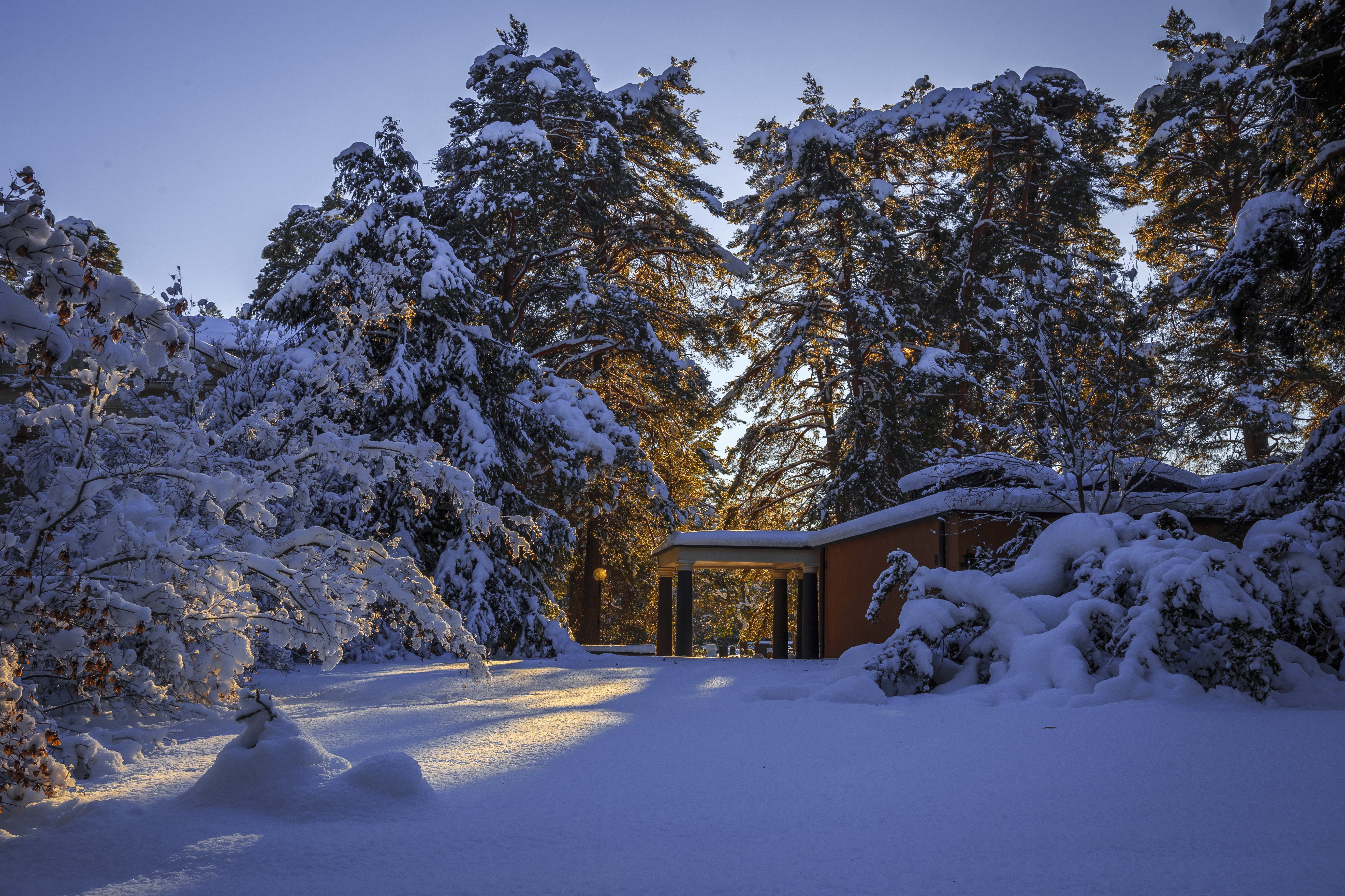 Snowy forest with a building in Sweden HD Wallpaper