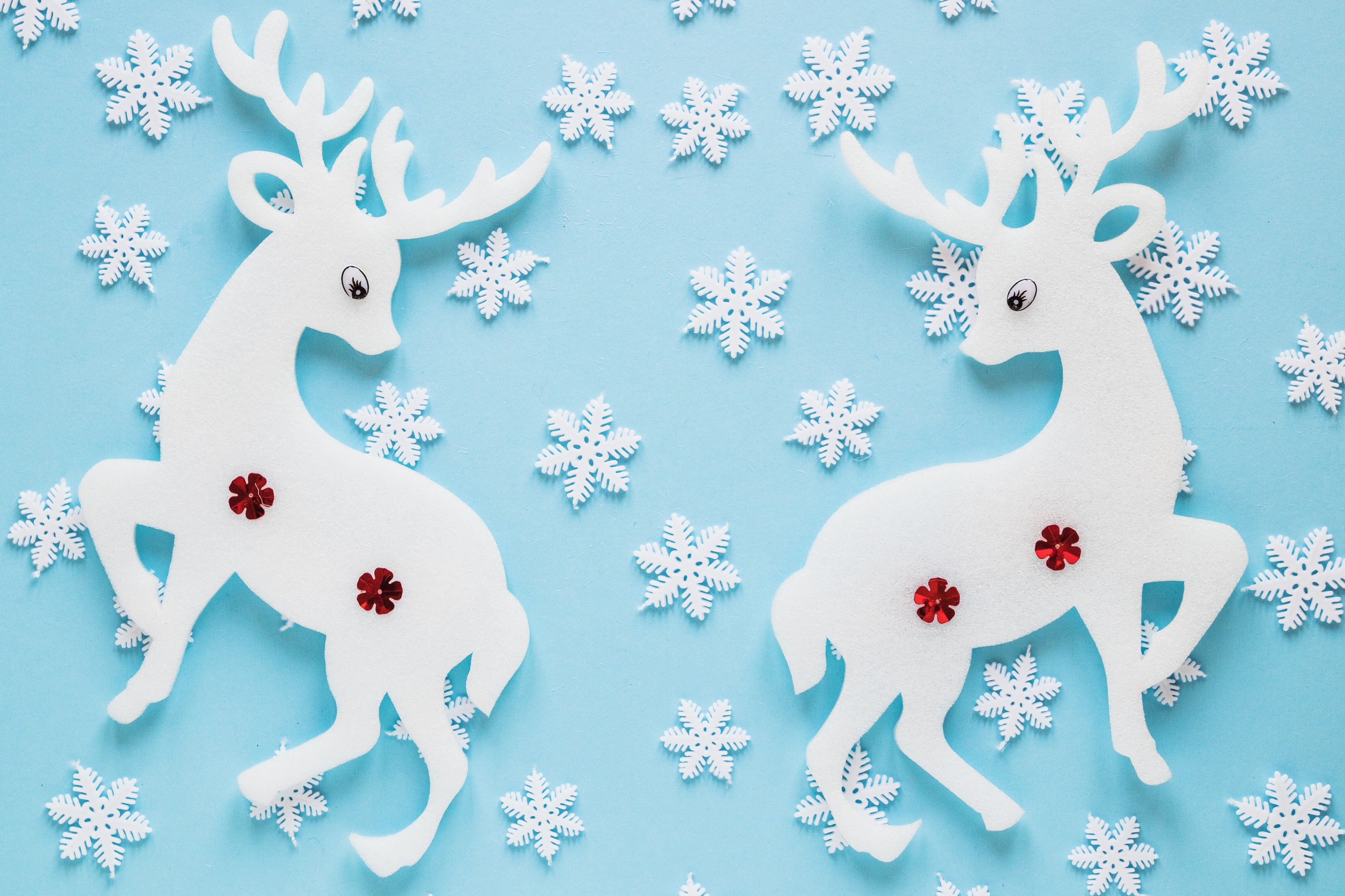 Two white reindeer decorations with snowflakes HD Wallpaper