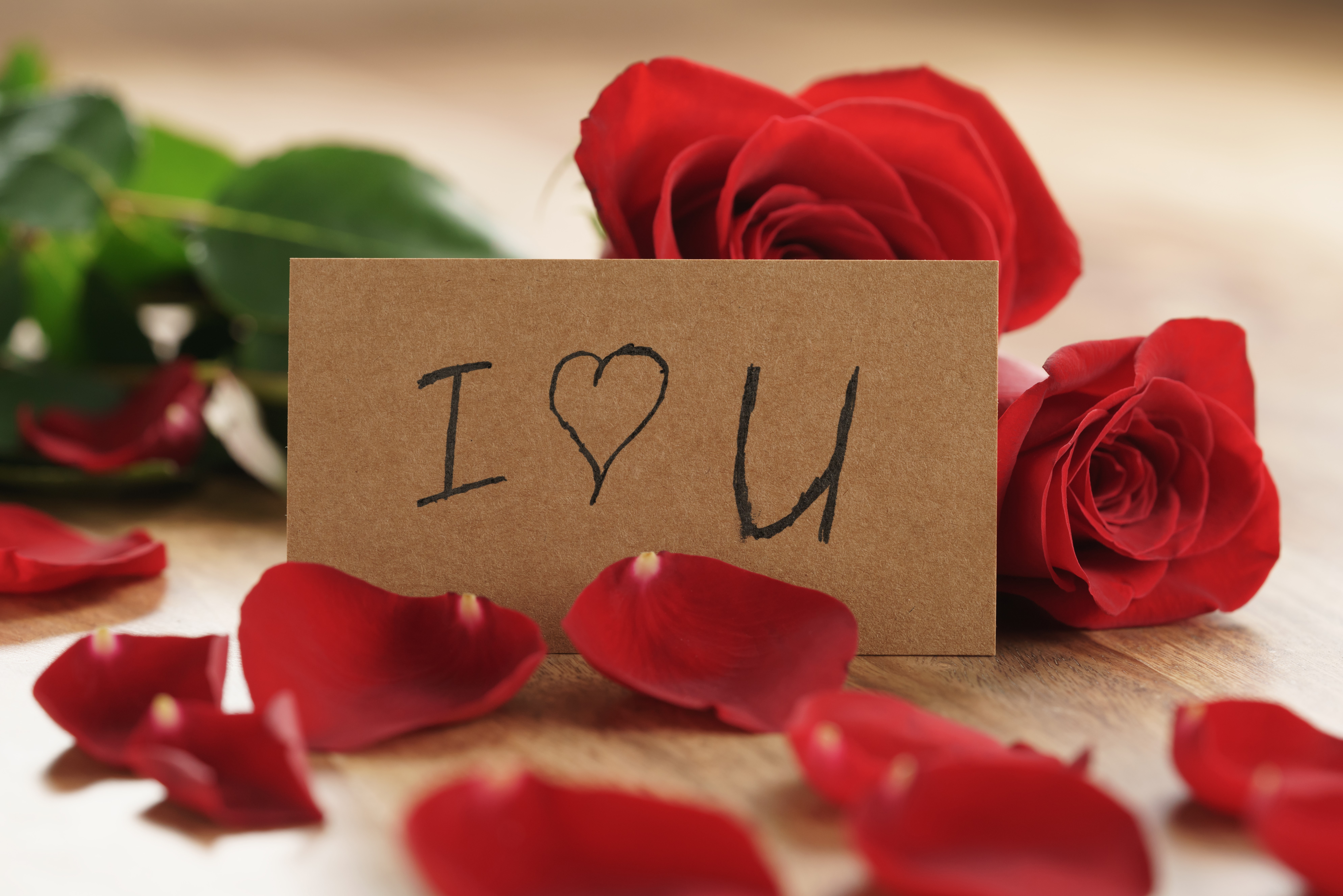 Red Roses and a Card Saying I Love You HD Wallpaper