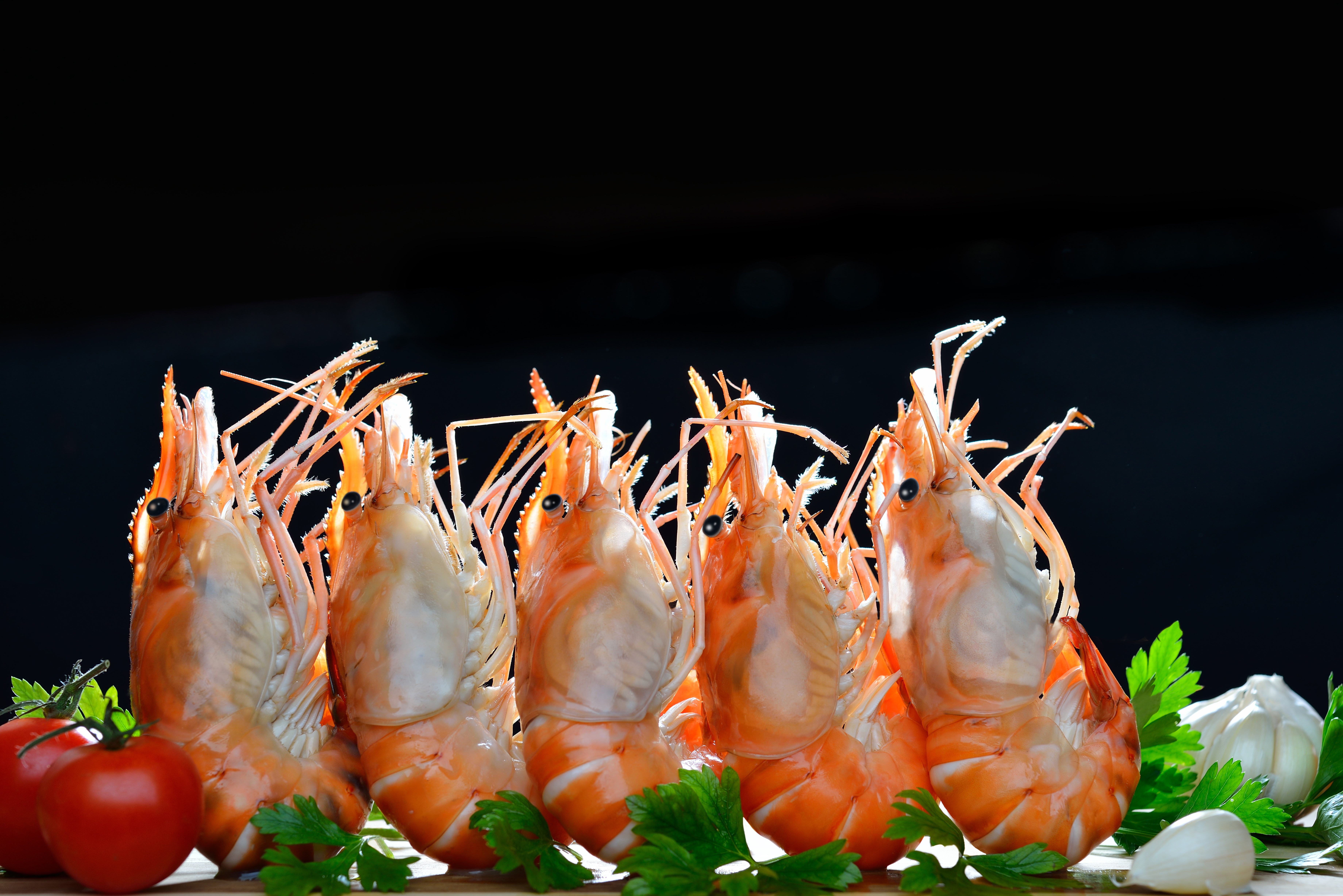 Shrimp with tomatoes, garlic, and parsley on black background HD Wallpaper