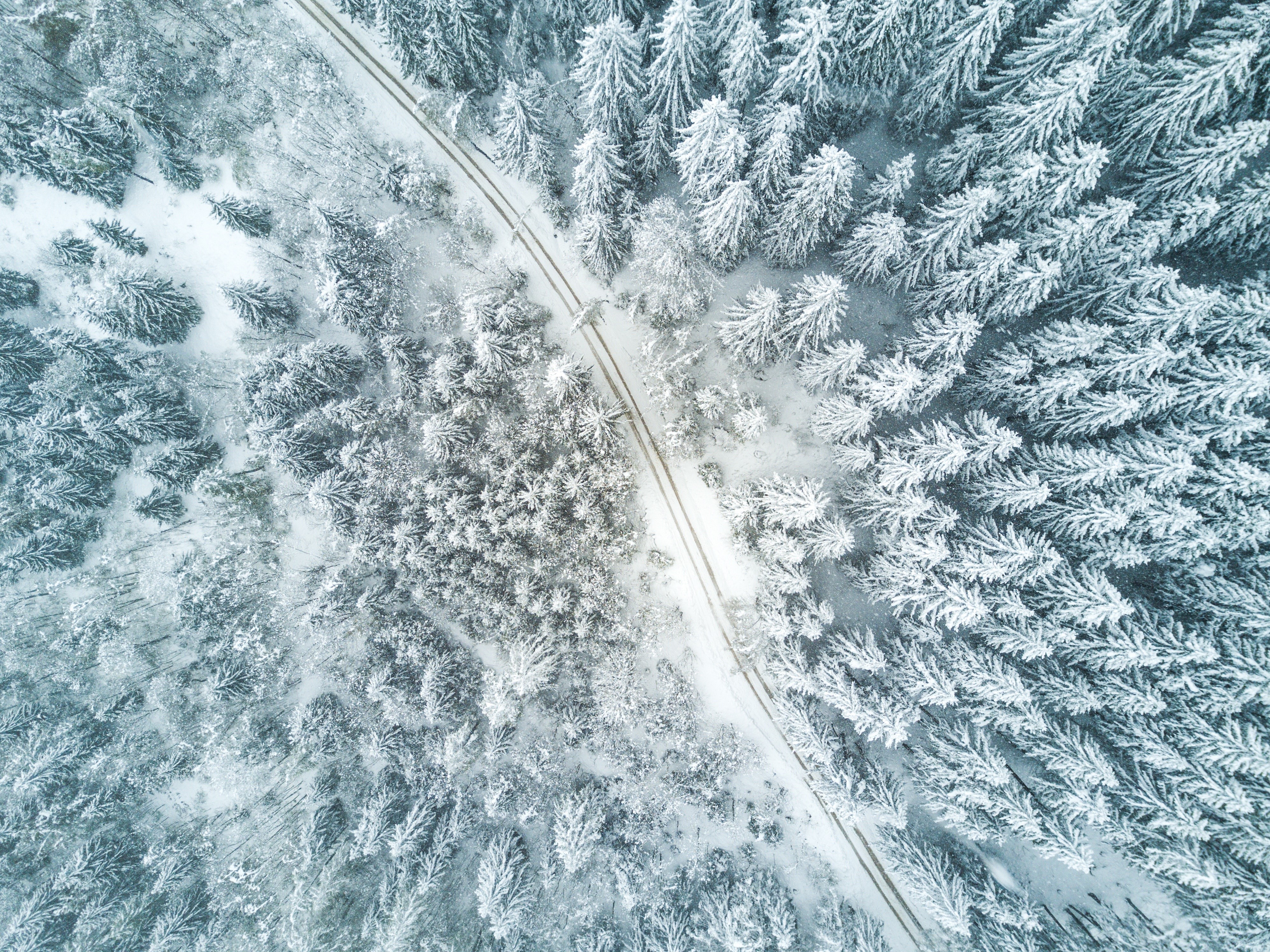 Aerial view of a snow-covered forest with a road HD Wallpaper