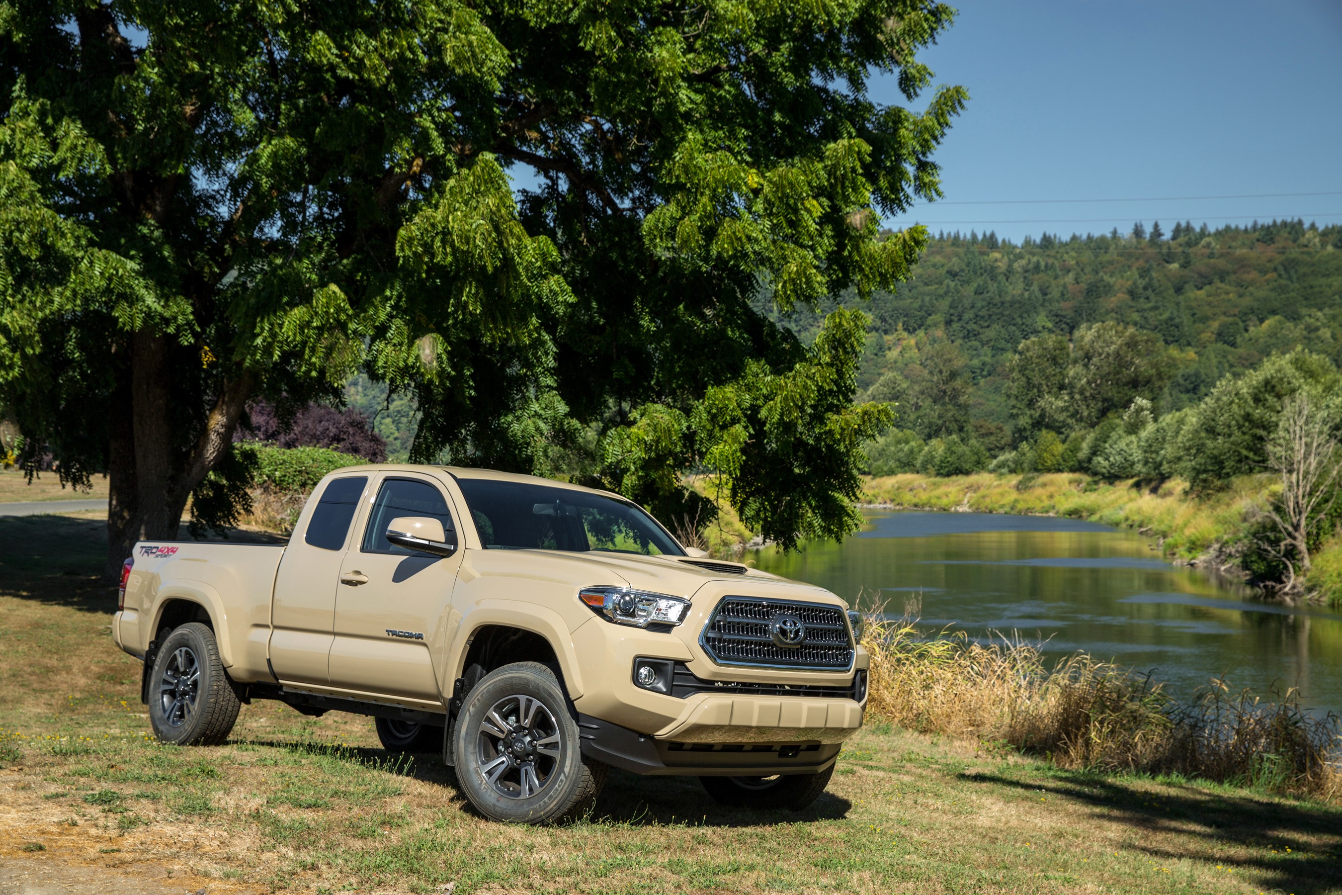 Tan Toyota Tacoma TRD Sport Pickup Truck HD Wallpaper