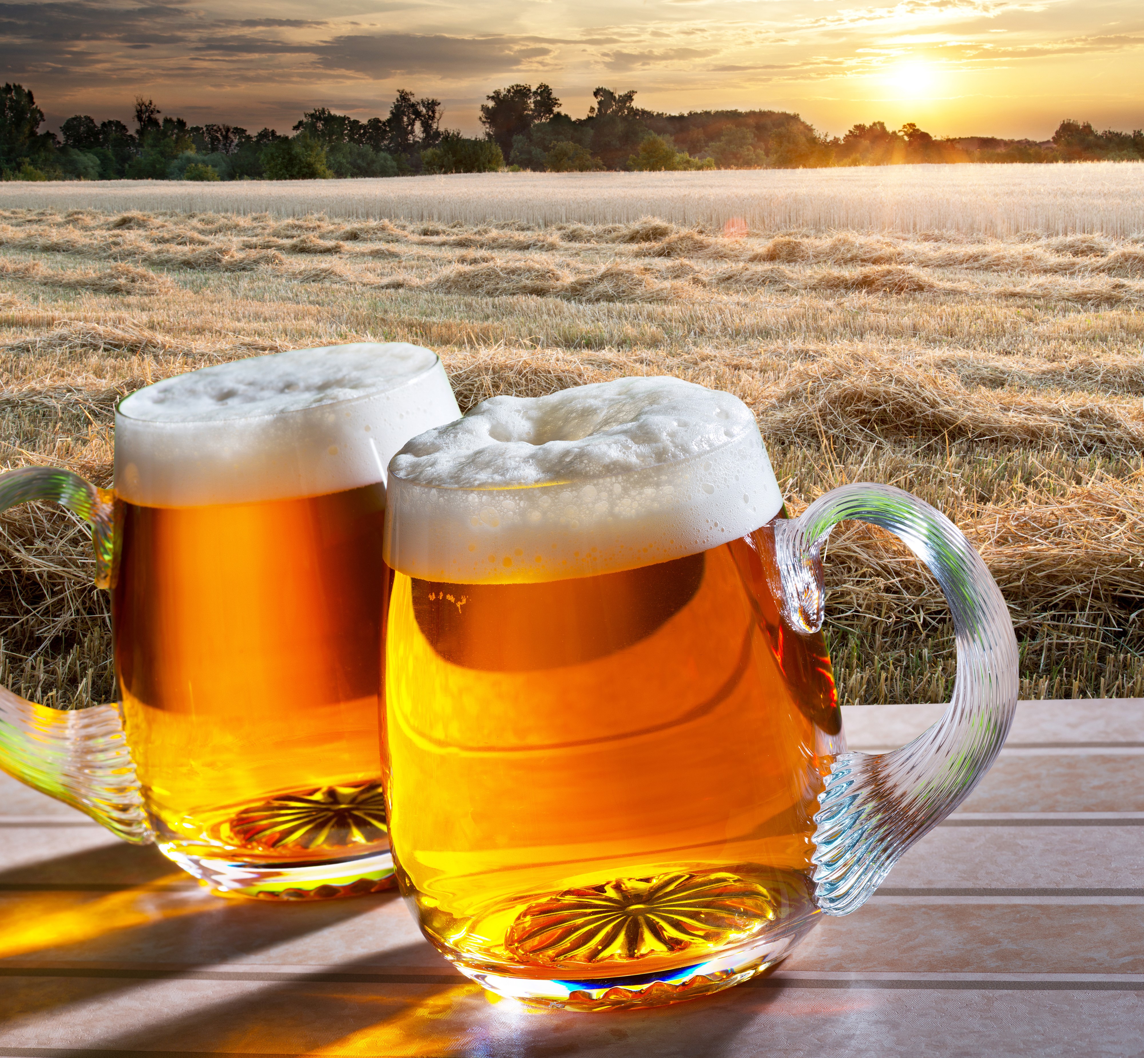 Two Mugs of Beer in a Field at Sunset HD Wallpaper