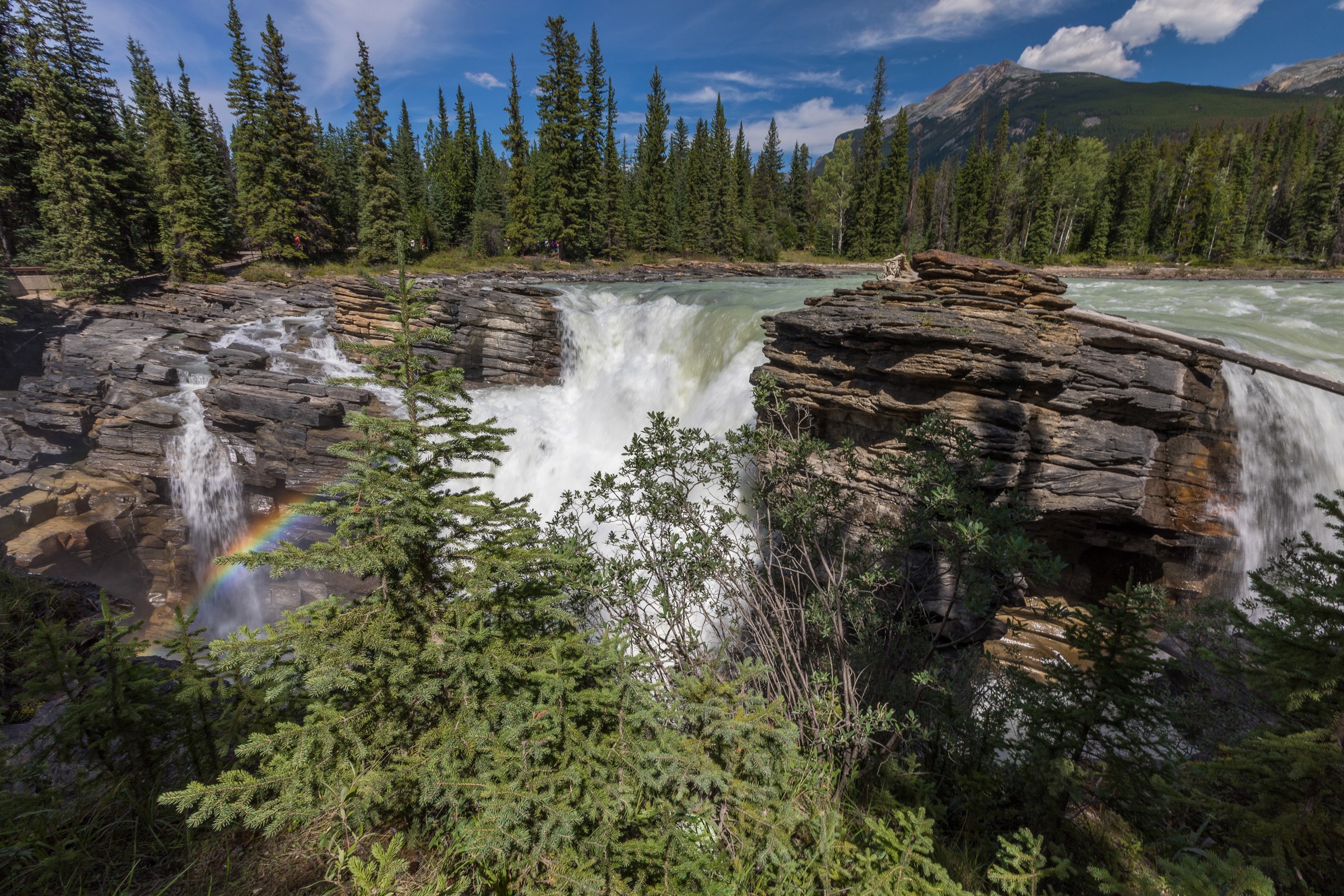 Athabasca Falls in Jasper National Park, Alberta, Canada HD Wallpaper