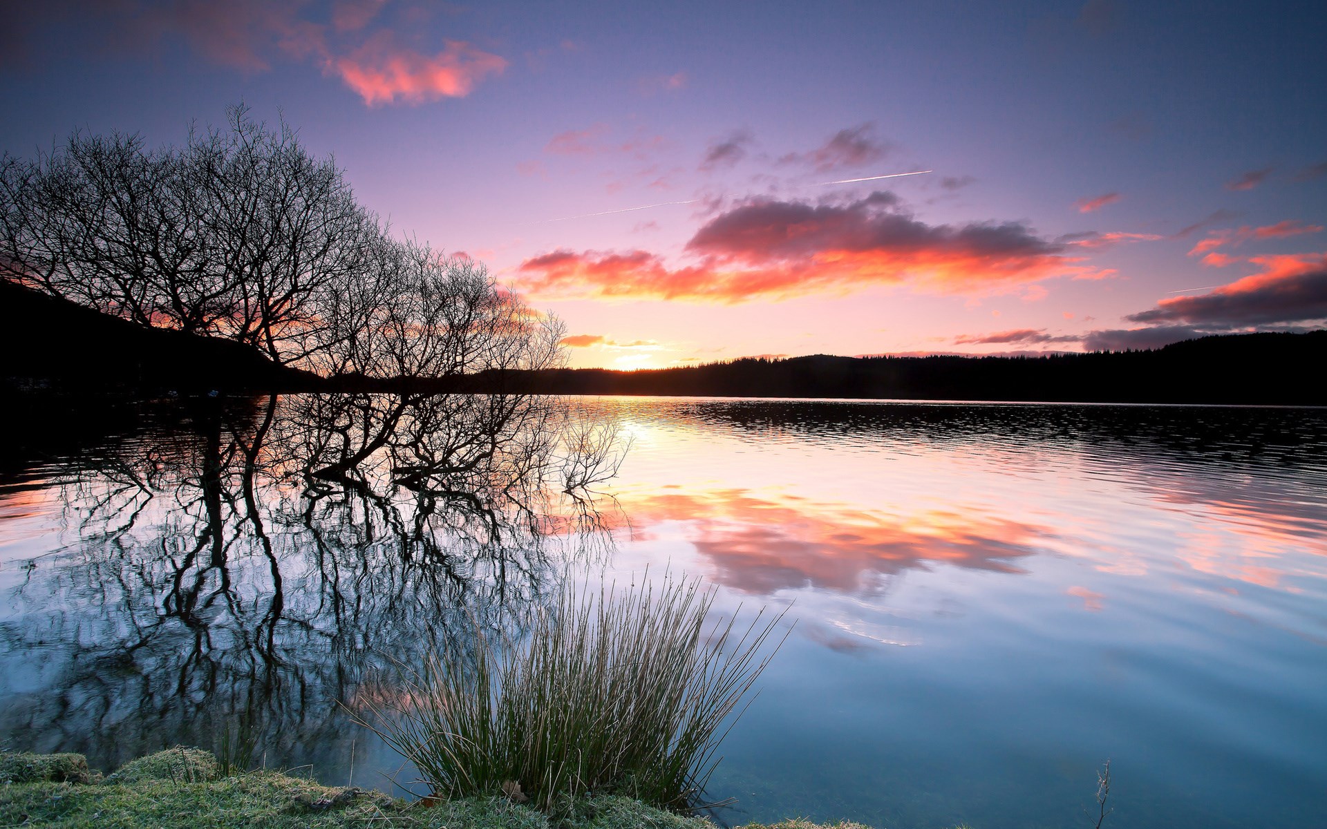 Sunset over a calm lake with silhouetted trees HD Wallpaper