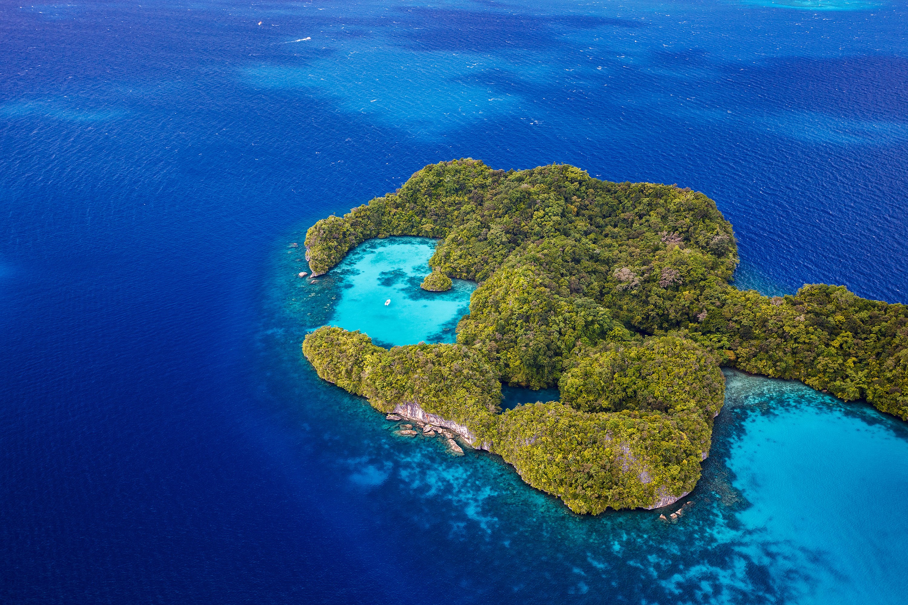 Aerial view of a tropical island in the sea HD Wallpaper