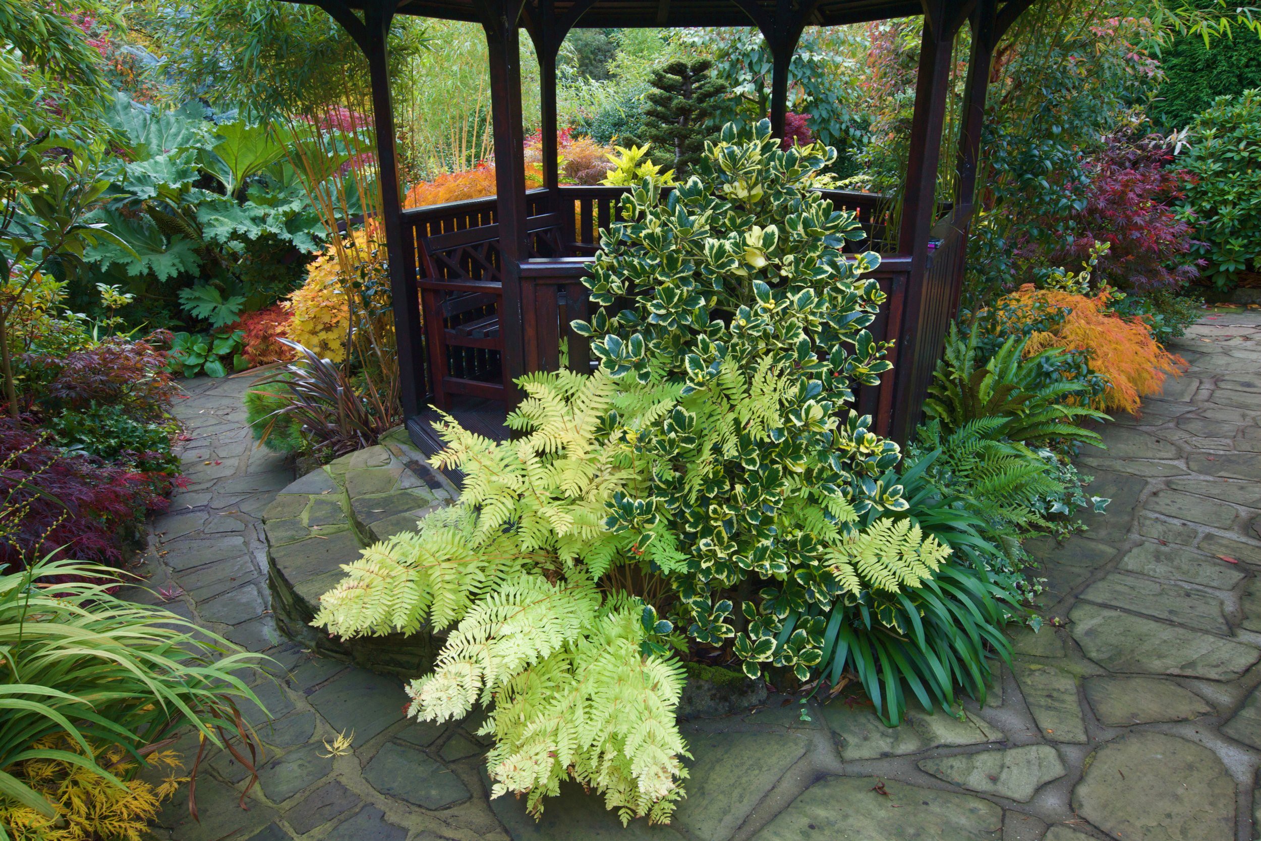 Gazebo in a garden with ferns and shrubs in England HD Wallpaper