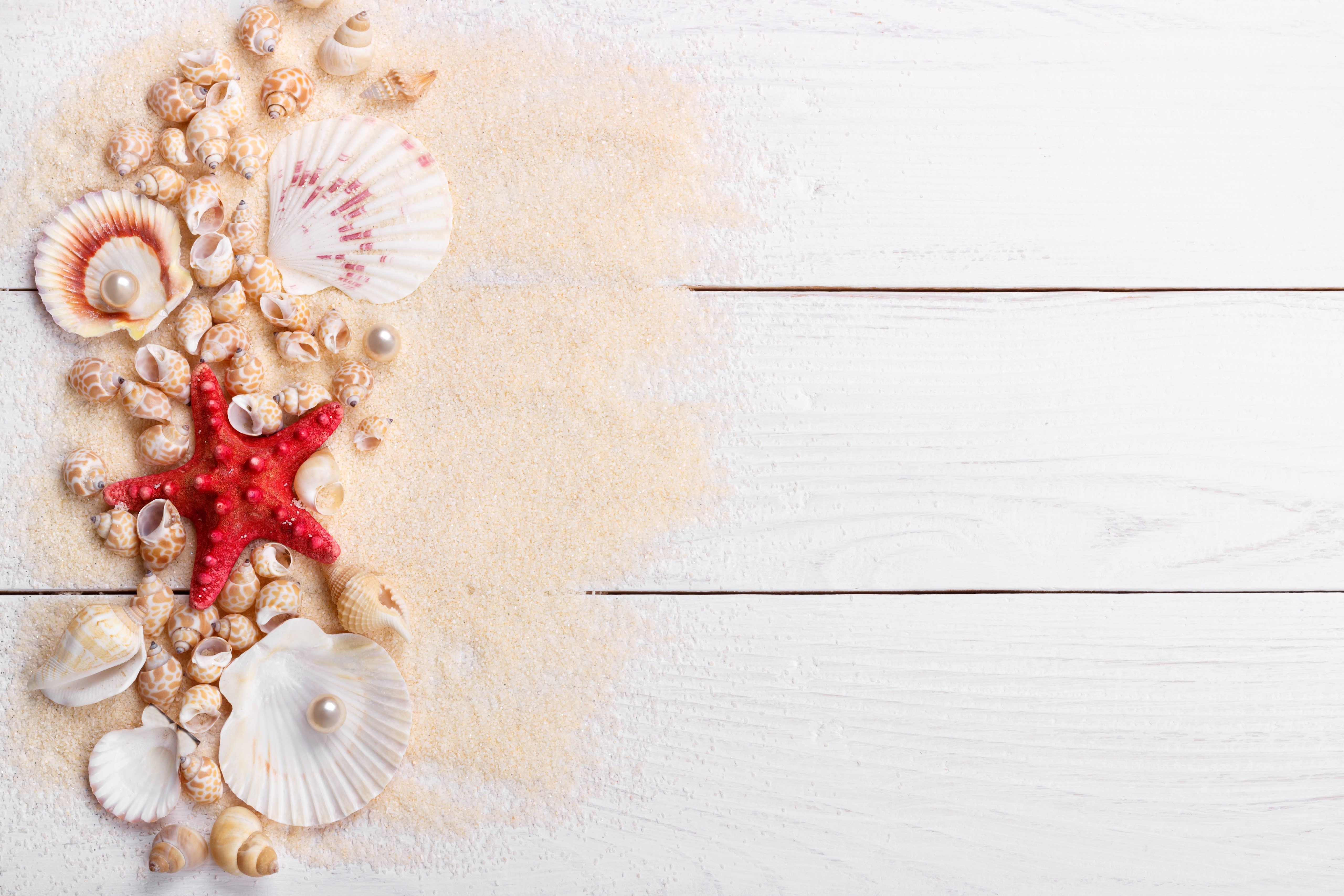 Shells, Starfish, and Pearls on Sand and Wood HD Wallpaper
