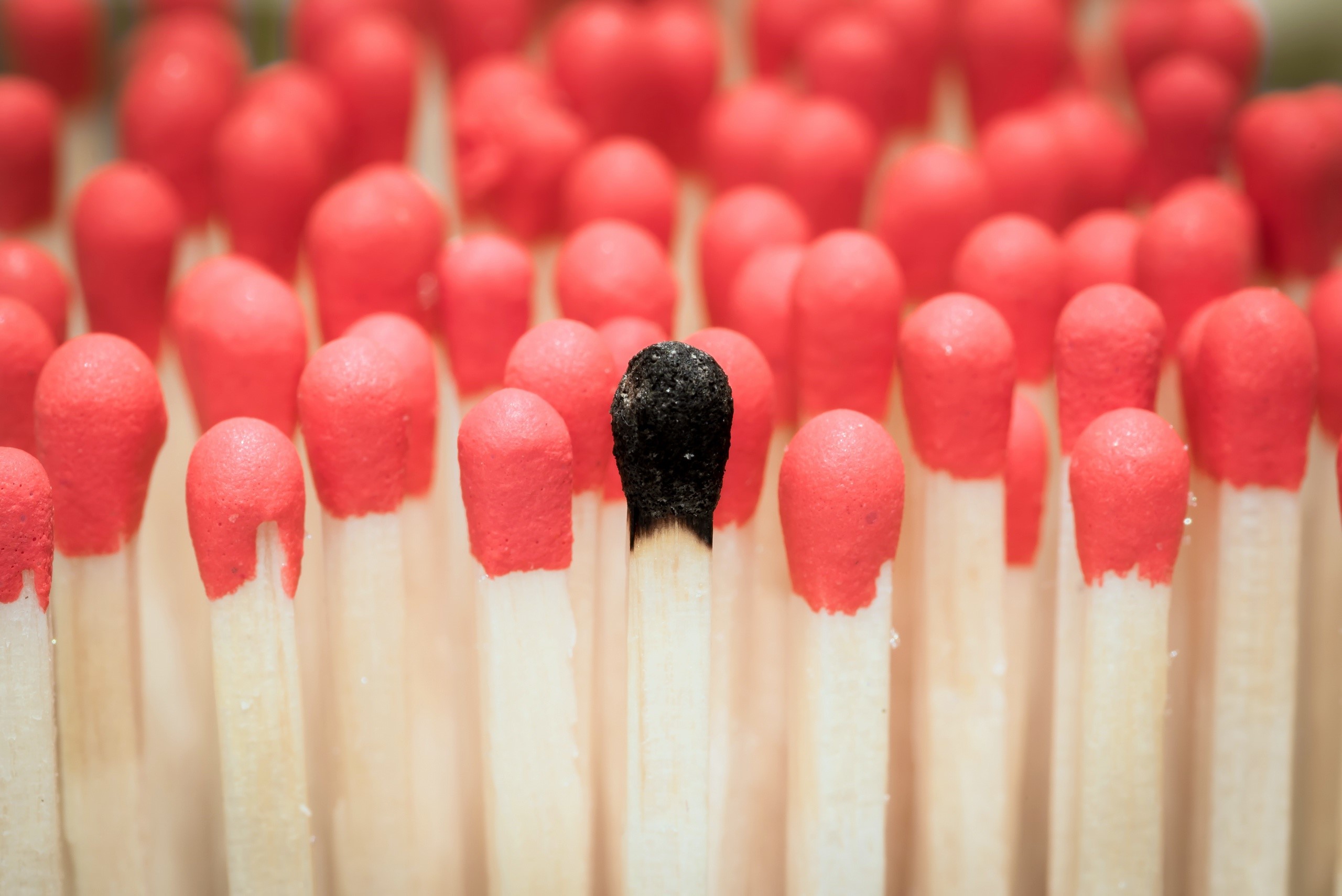 A burnt matchstick stands out among unburnt matches HD Wallpaper