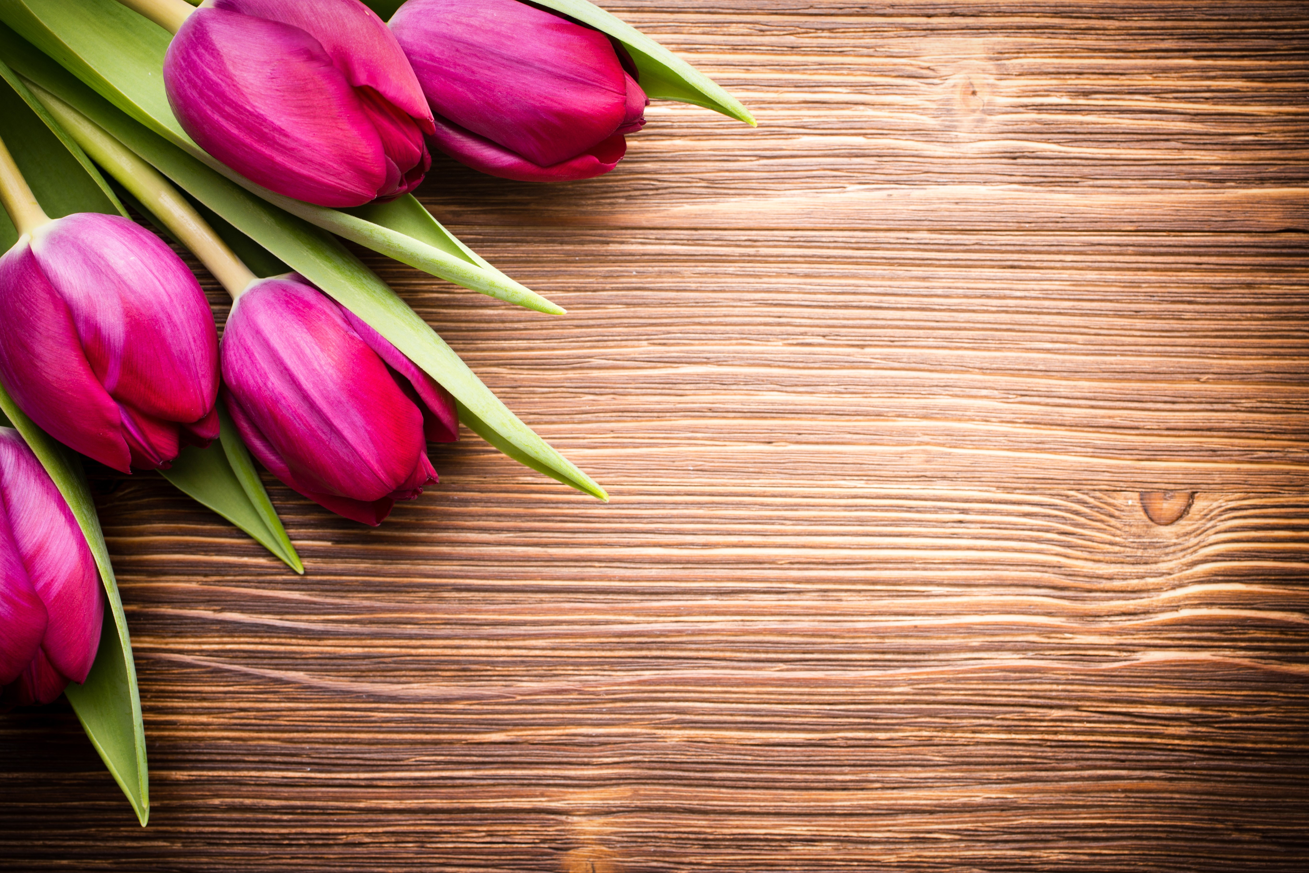 Purple Tulips on Wood Planks HD Wallpaper