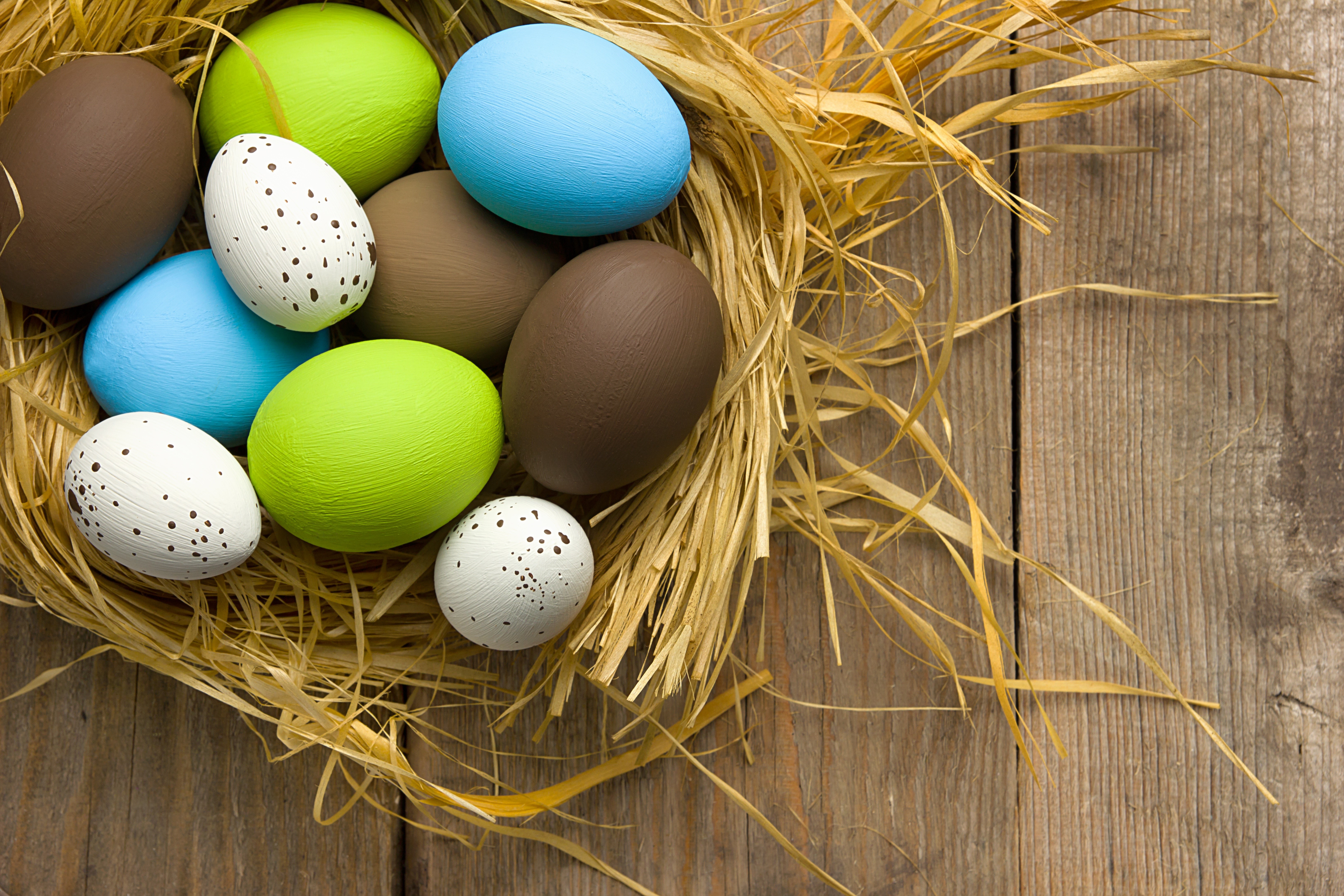Easter eggs in a nest on wooden background HD Wallpaper