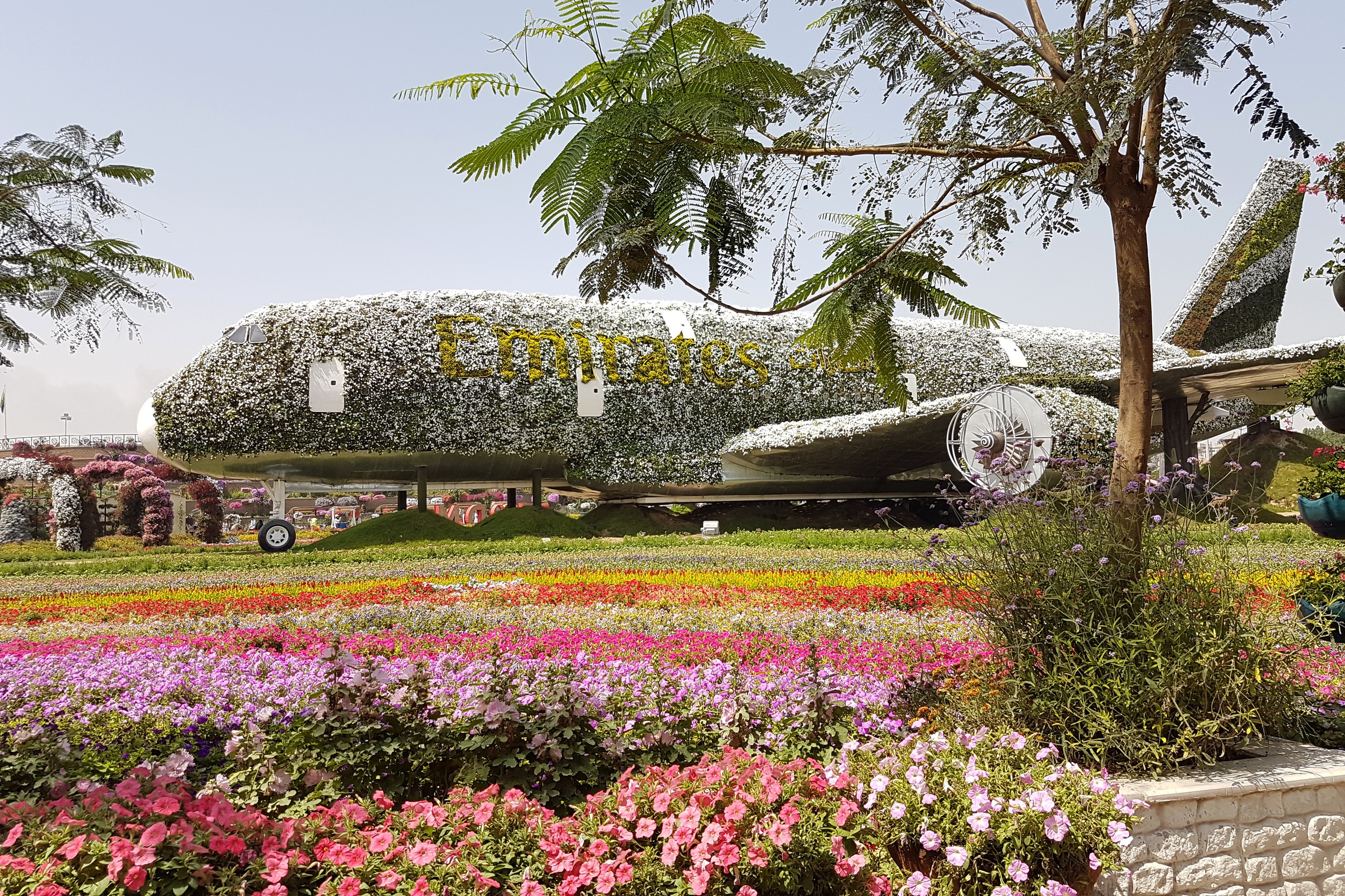 Emirates Airplane covered in flowers at Miracle Garden Dubai HD Wallpaper