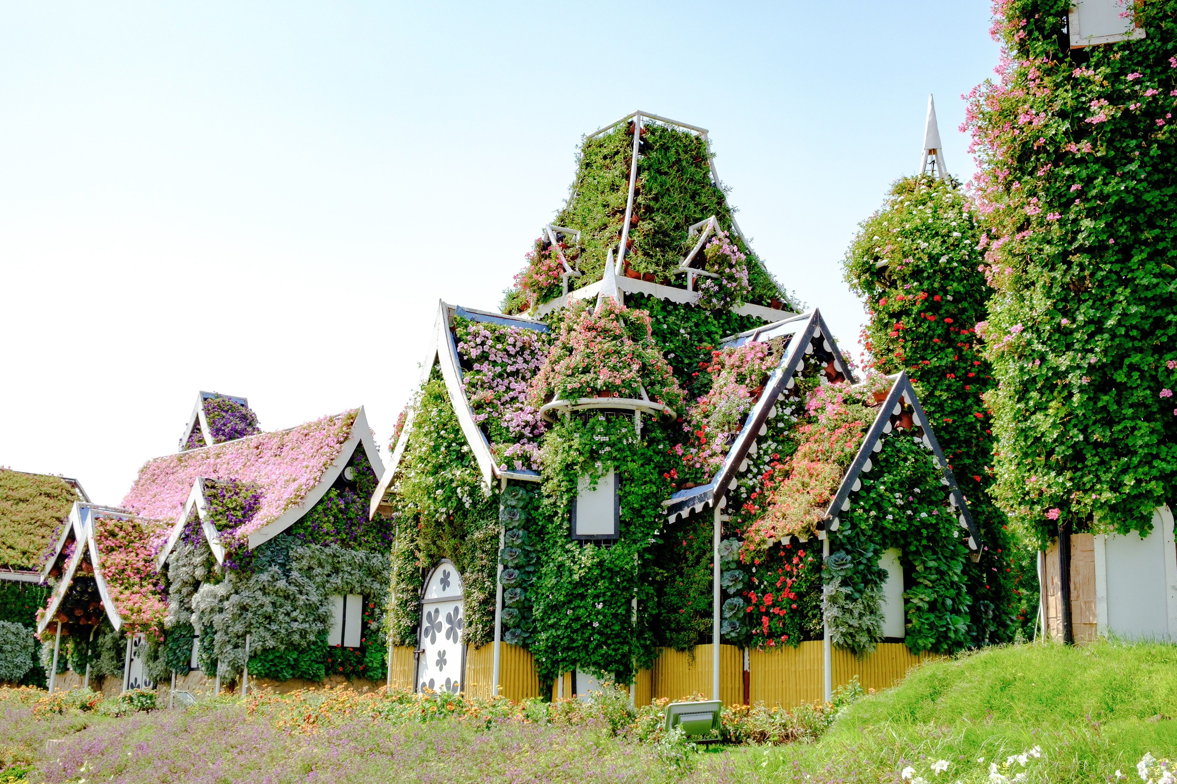 Floral houses in Dubai Miracle Garden HD Wallpaper