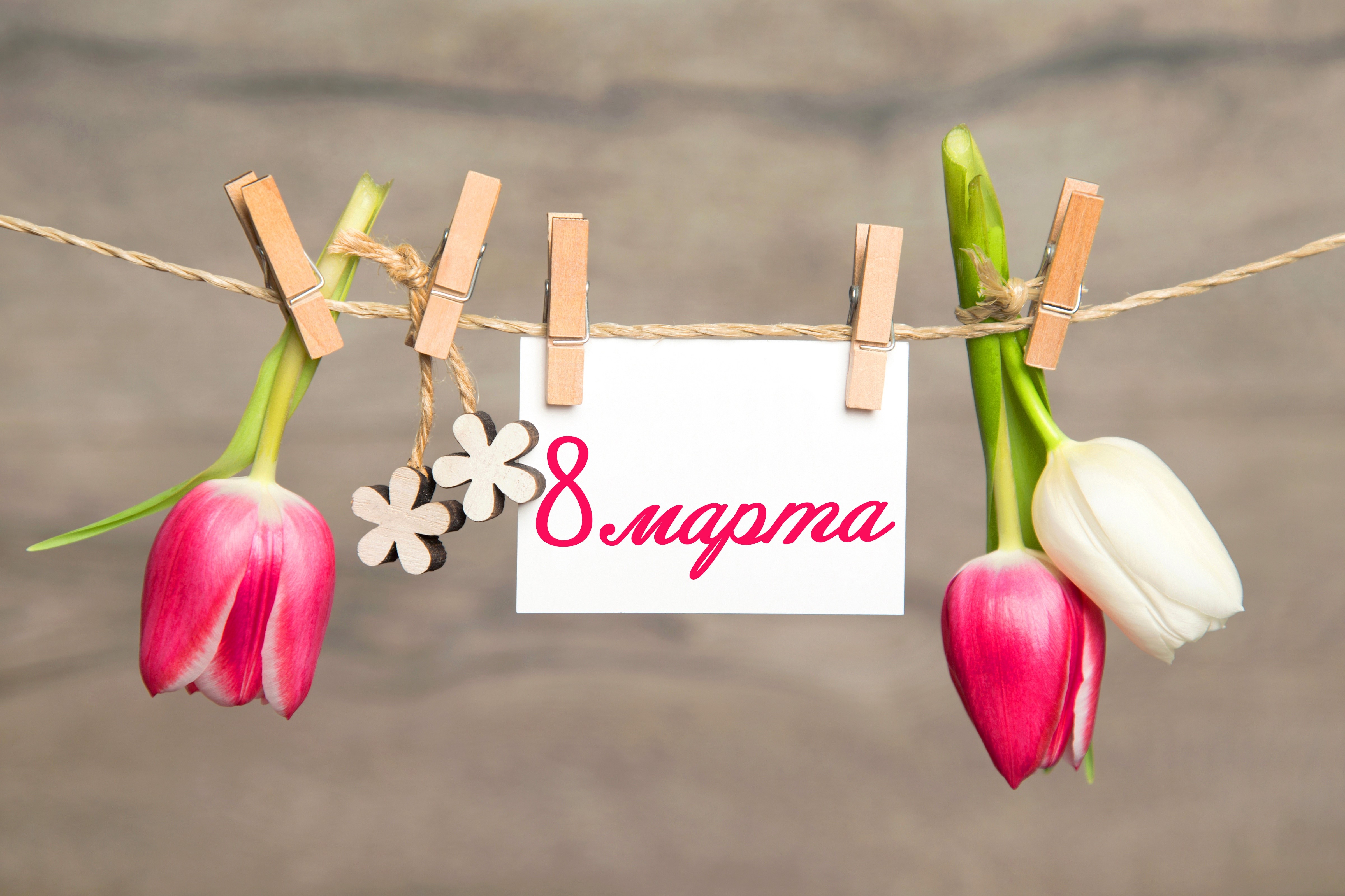Tulips and "8 Марта" message on a clothesline HD Wallpaper