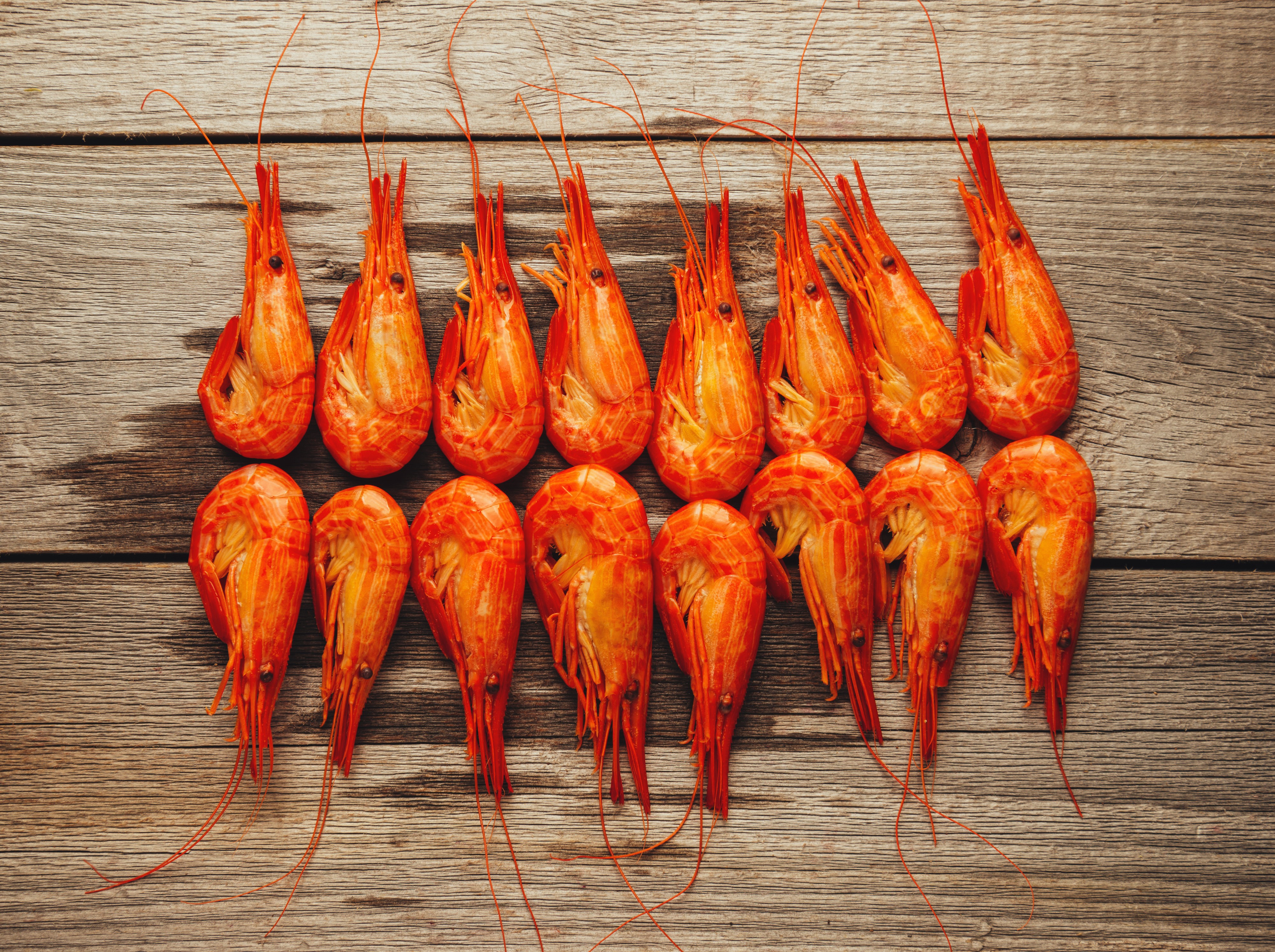 Cooked Shrimp on Wood Planks HD Wallpaper