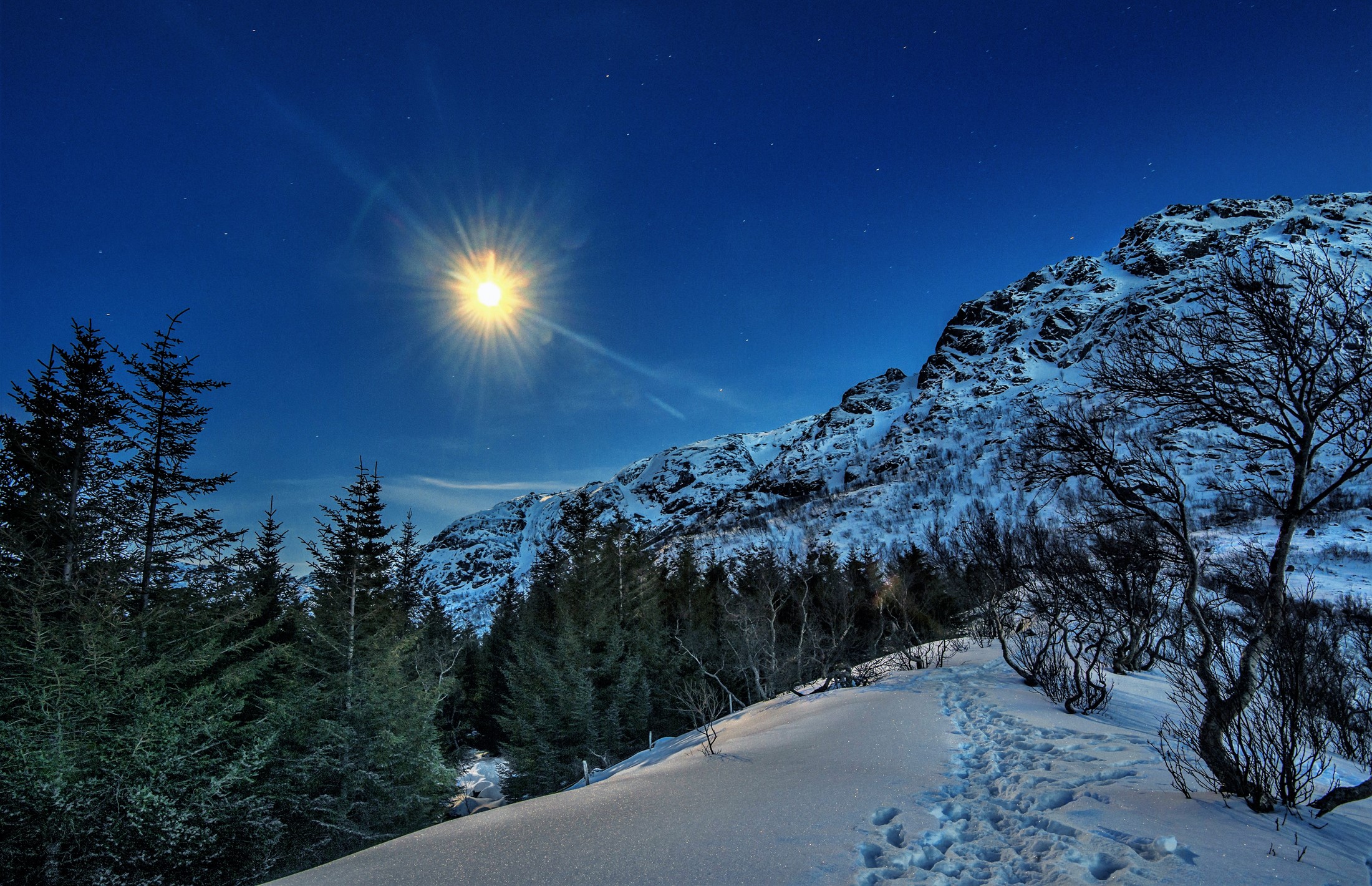 Winter mountains and forest under moonlight in Lofoten, Norway HD Wallpaper